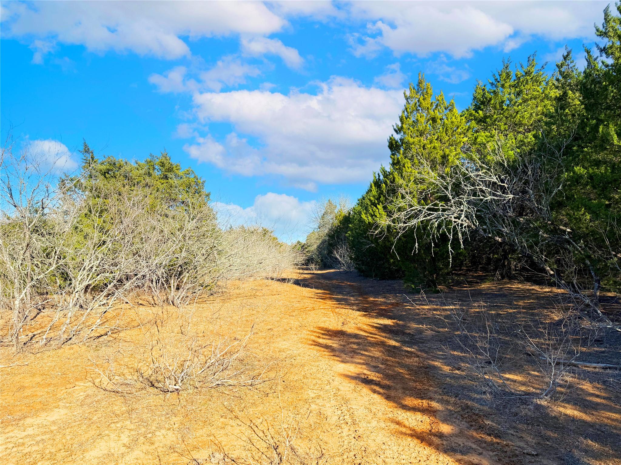 0000 FM 2336, McDade, TX 78650