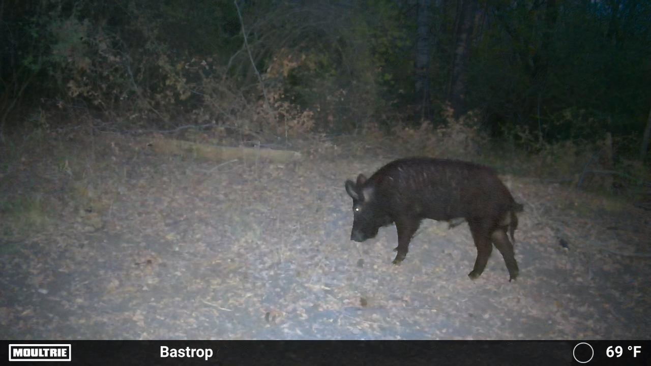 0000 FM 2336, McDade, TX 78650