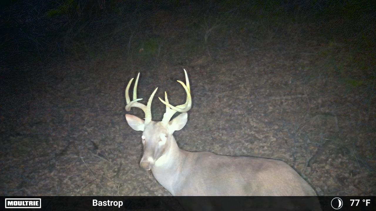 0000 FM 2336, McDade, TX 78650