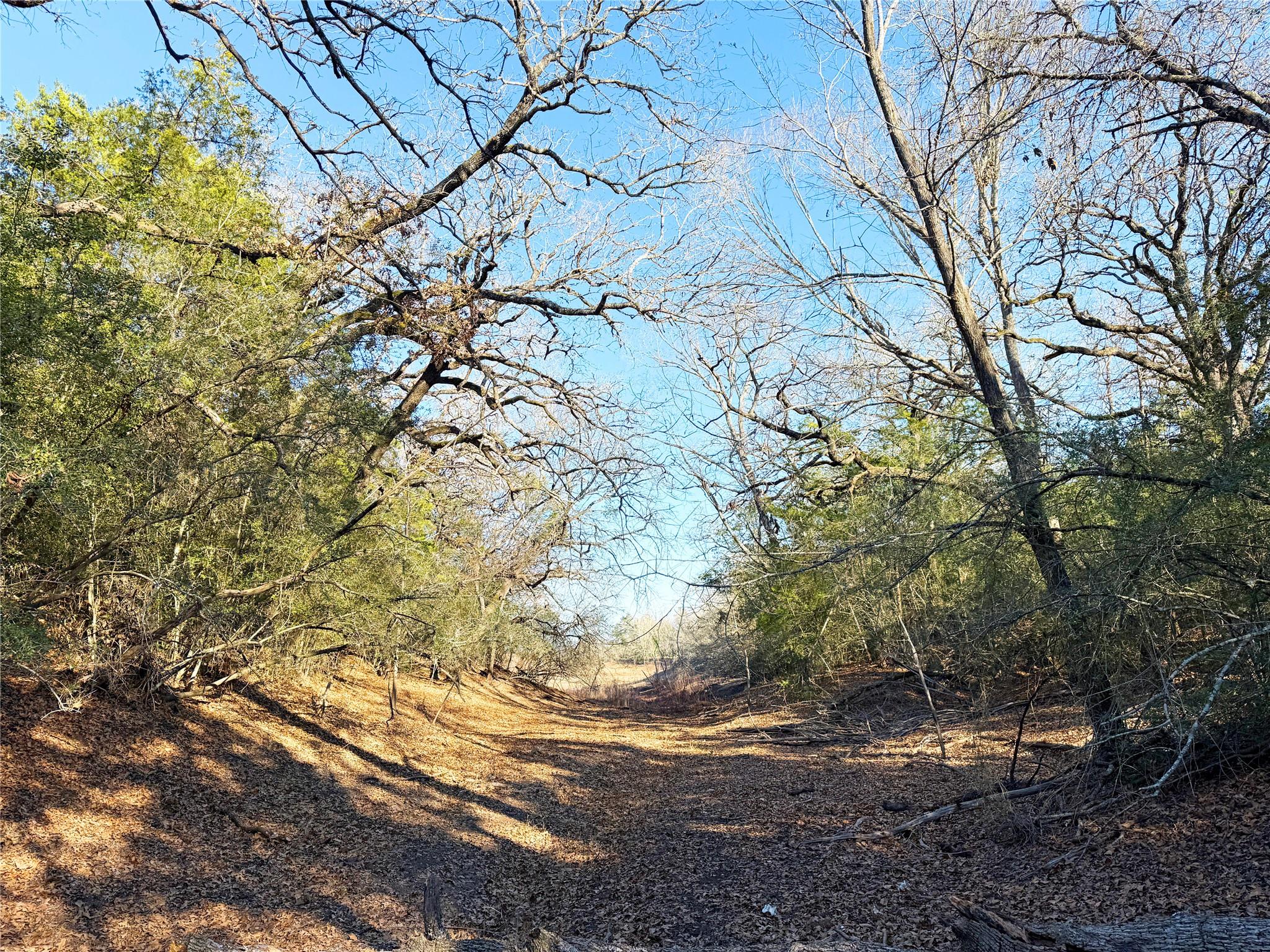 0000 FM 2336, McDade, TX 78650