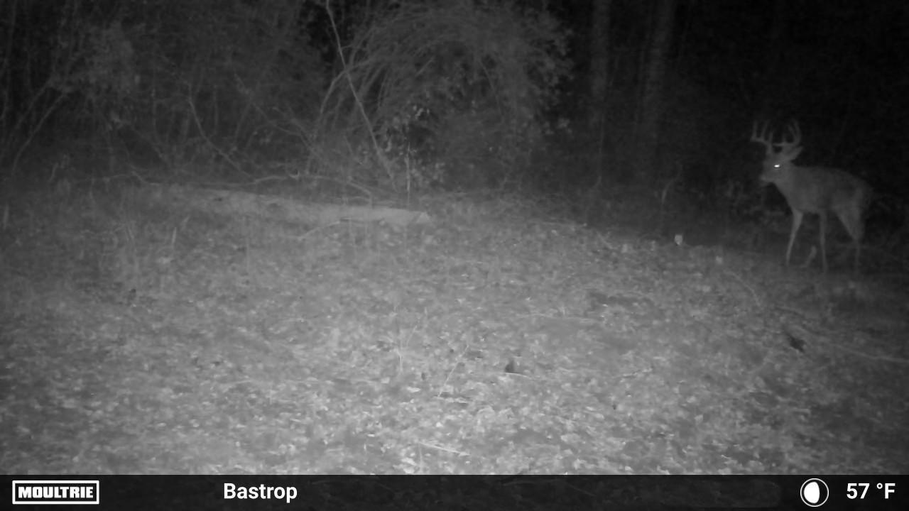 0000 FM 2336, McDade, TX 78650