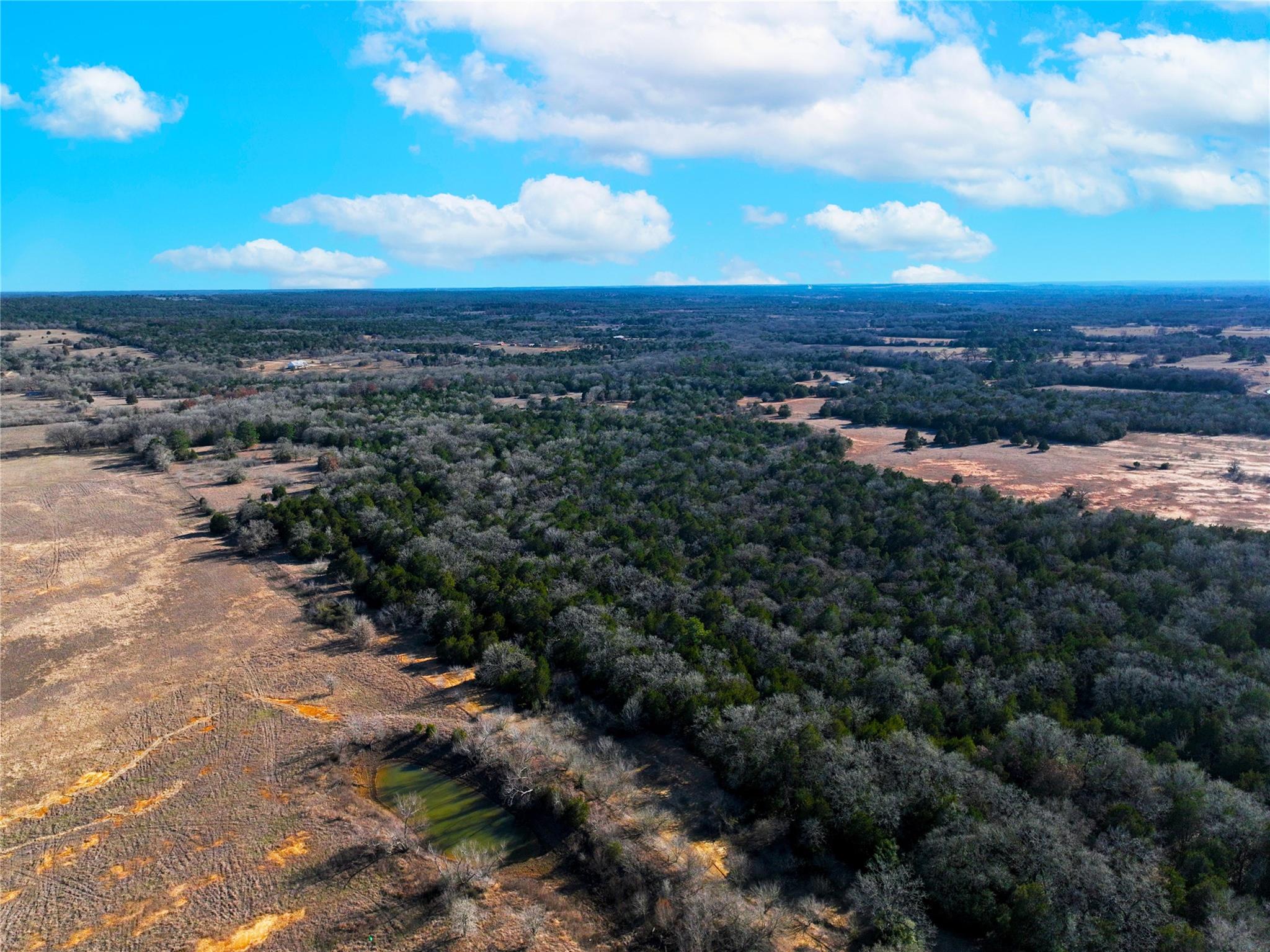 0000 FM 2336, McDade, TX 78650