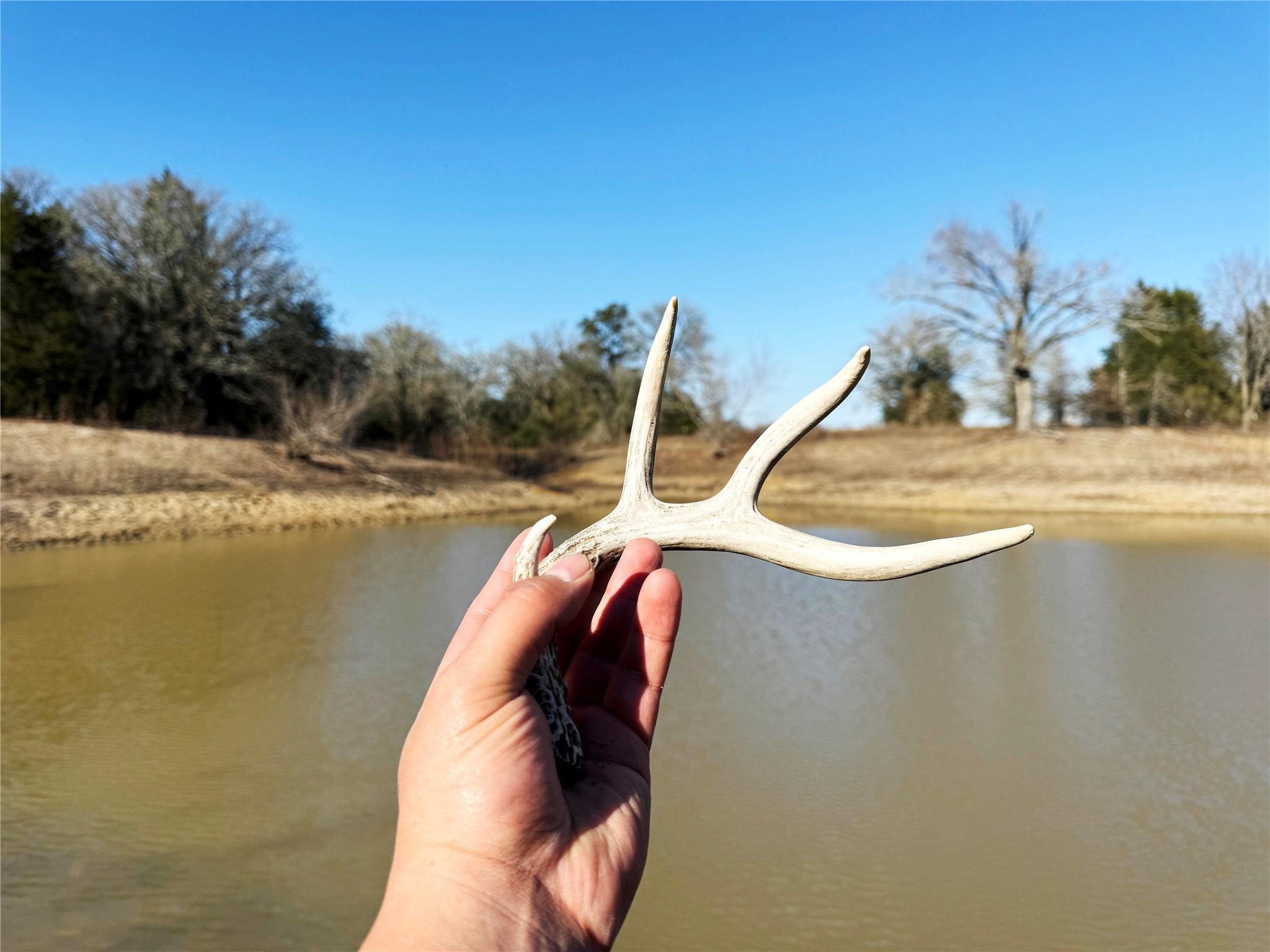 0000 FM 2336, McDade, TX 78650