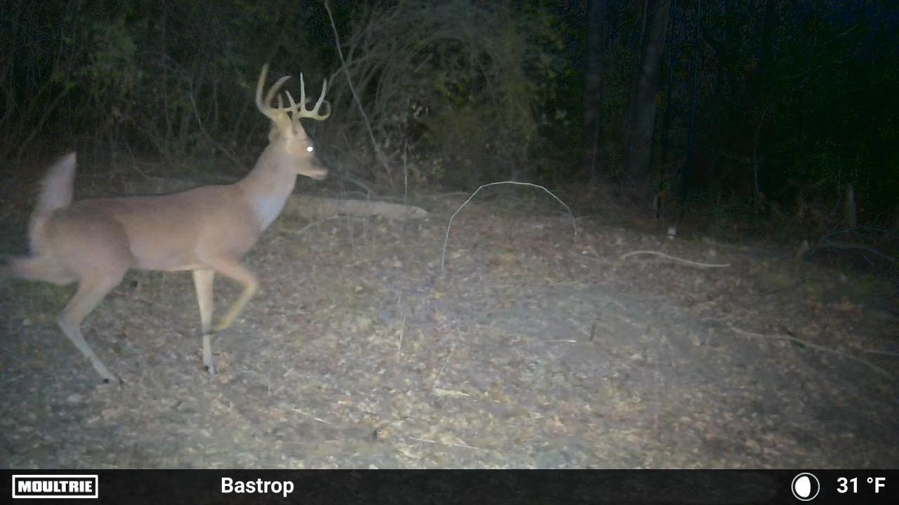 0000 FM 2336, McDade, TX 78650