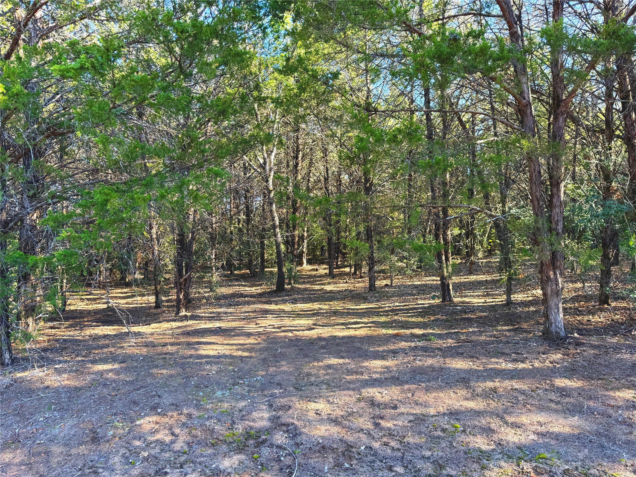 0000 FM 2336, McDade, TX 78650