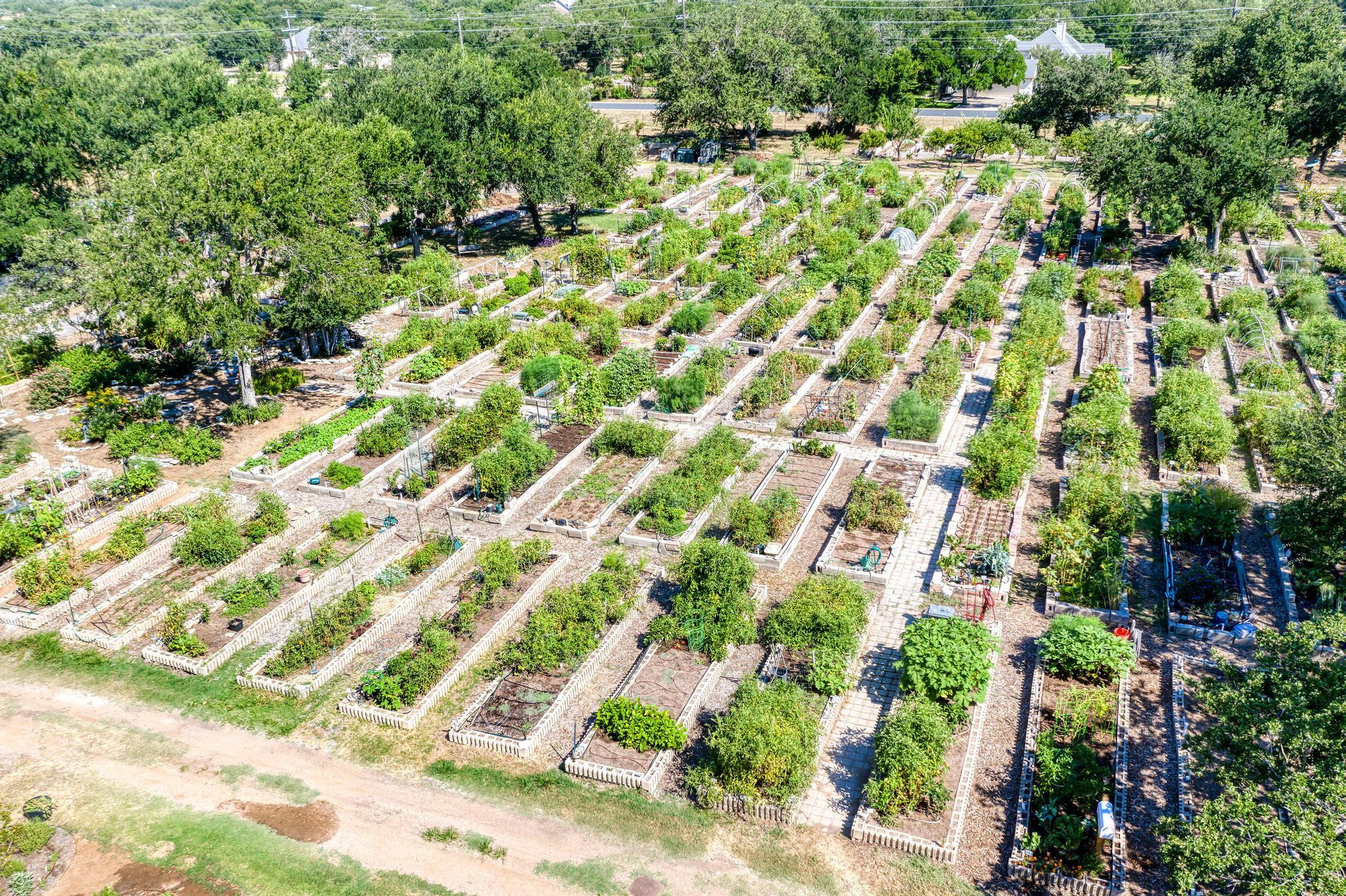 106 Hale Ct, Georgetown, TX 78633