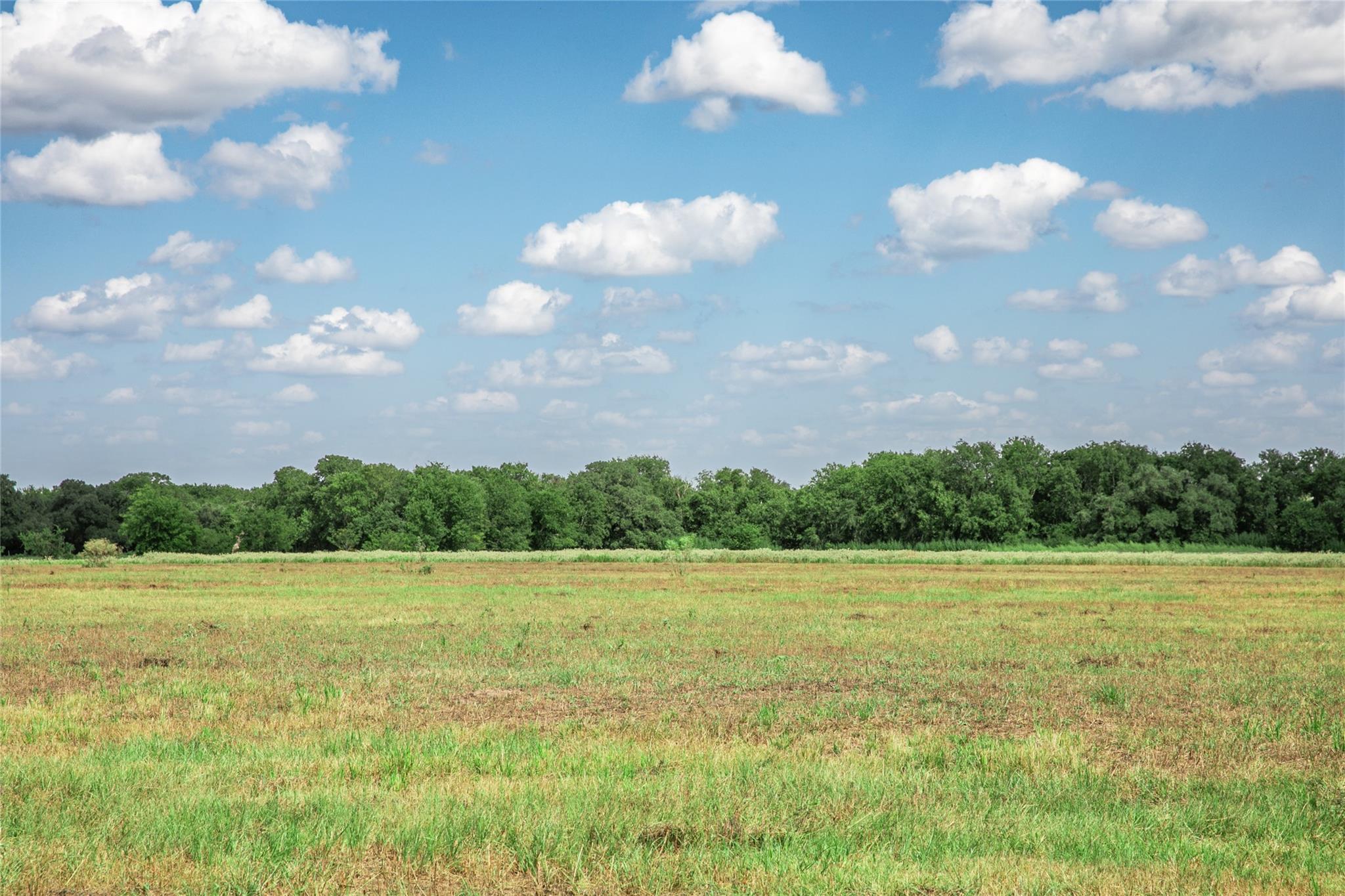 11105 Harmon School Rd, Burton, TX 77835