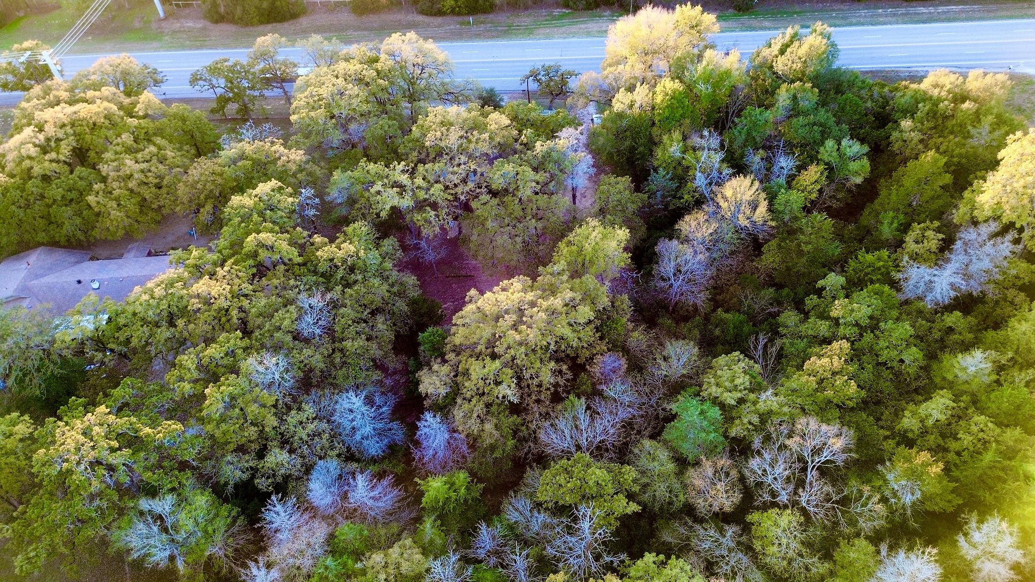 9278 N Highway 77 Highway, Lexington, TX 78947