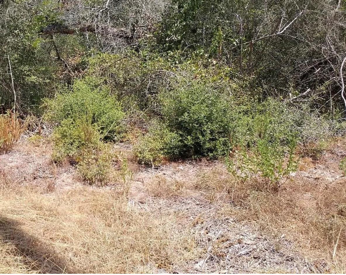 26642 Red Oak Dr, Hempstead, TX 77445