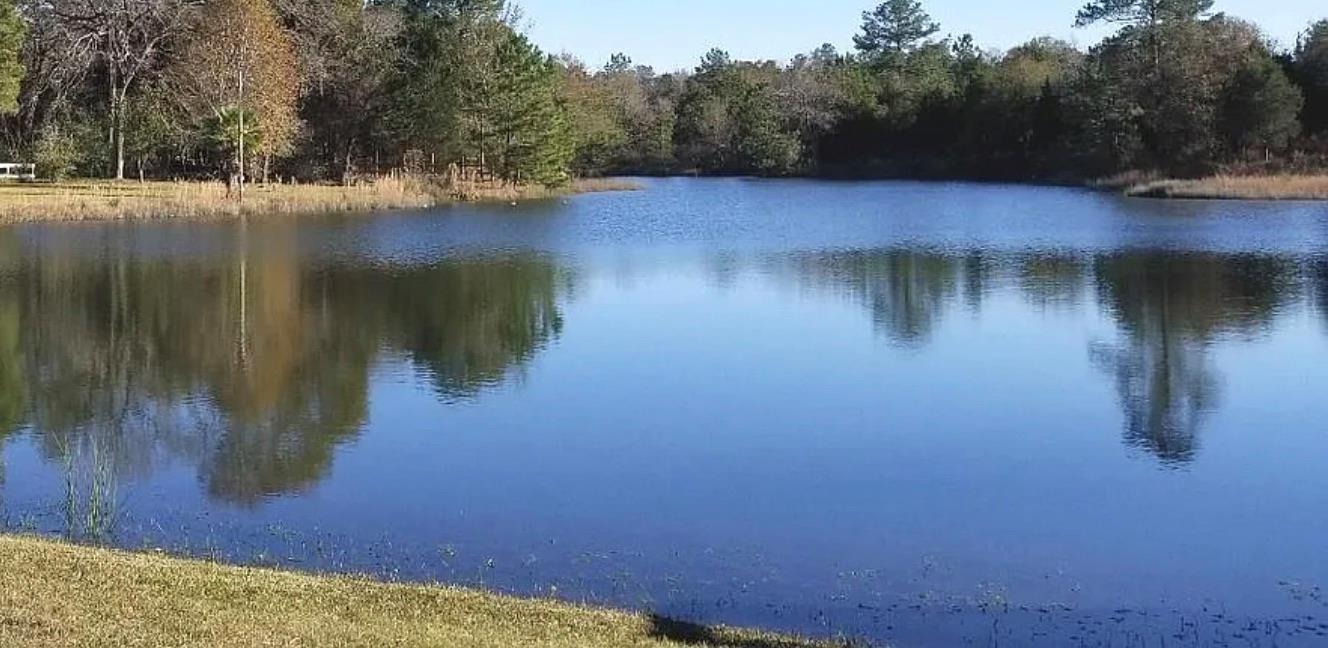 26642 Red Oak Dr, Hempstead, TX 77445