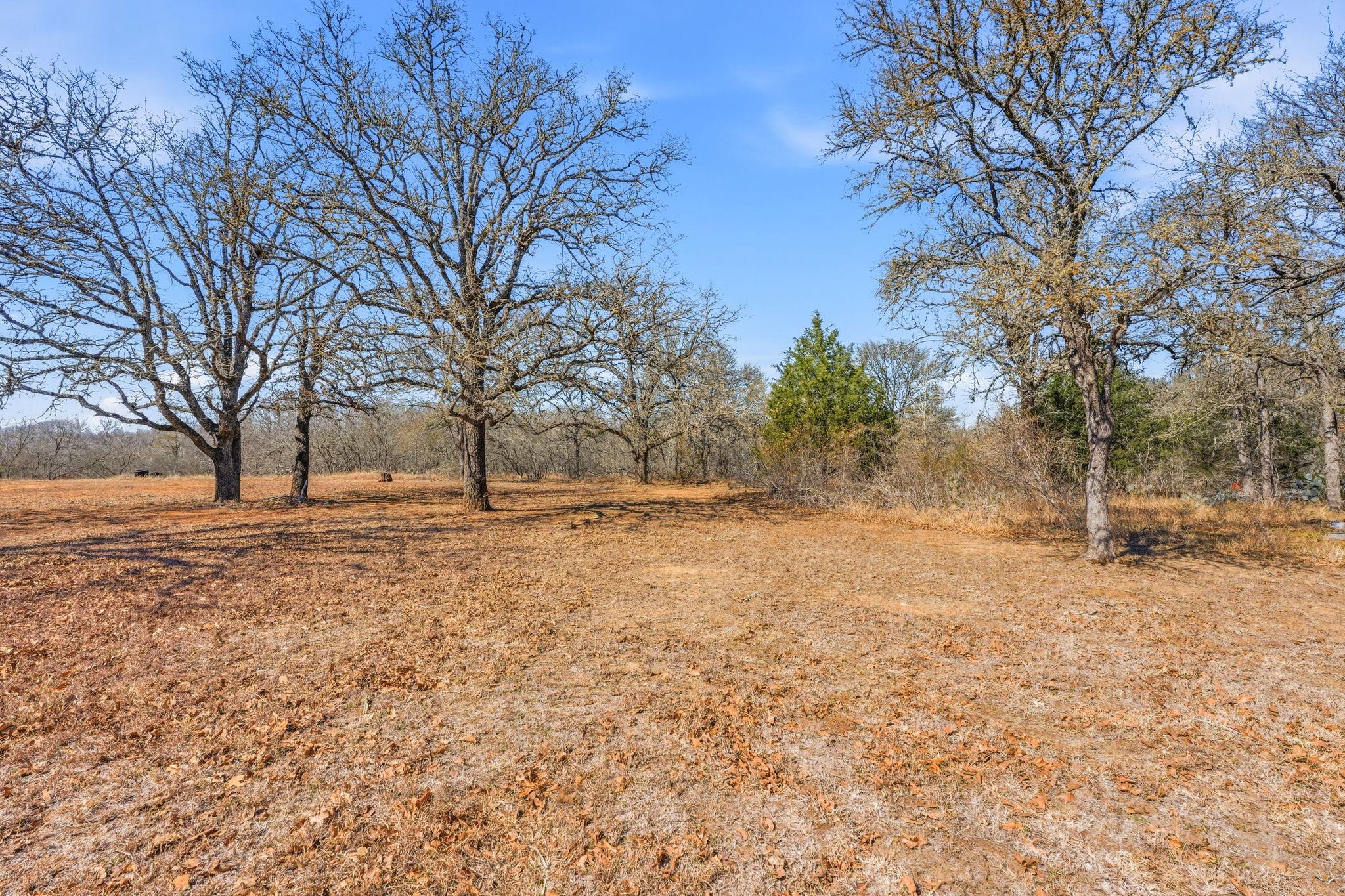 103 Martinez Ln, Dale, TX 78616