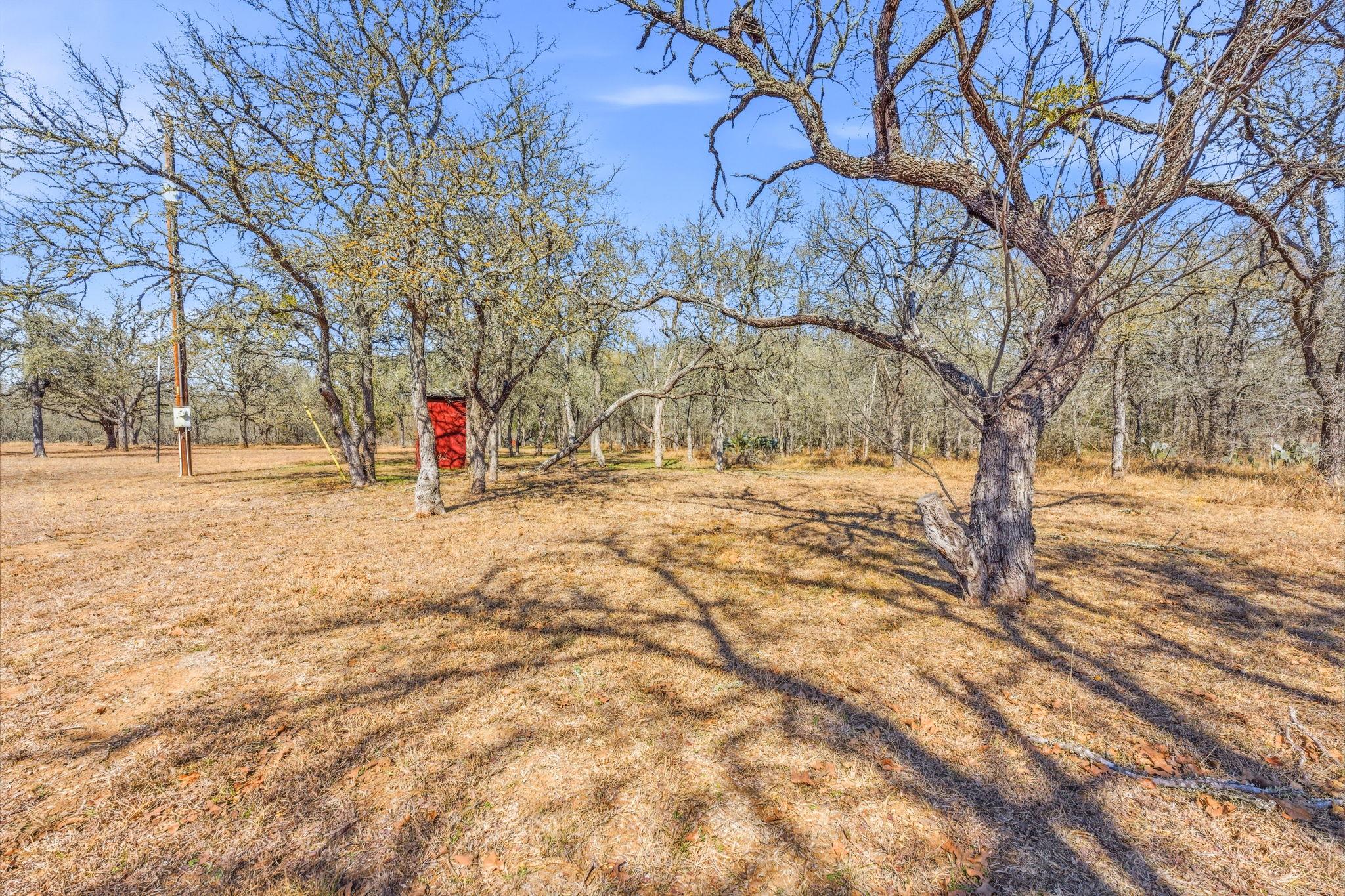 103 Martinez Ln, Dale, TX 78616