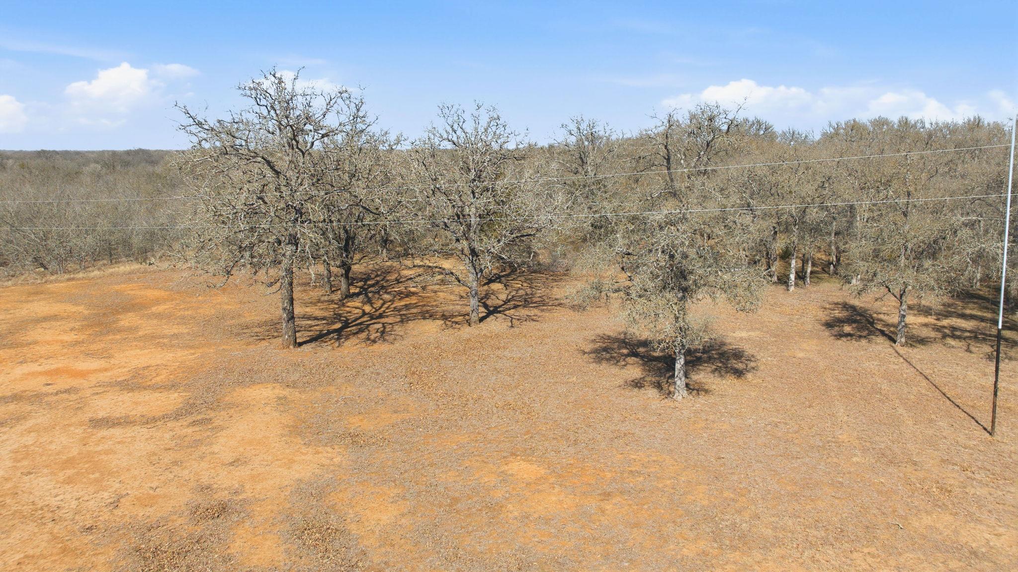 103 Martinez Ln, Dale, TX 78616