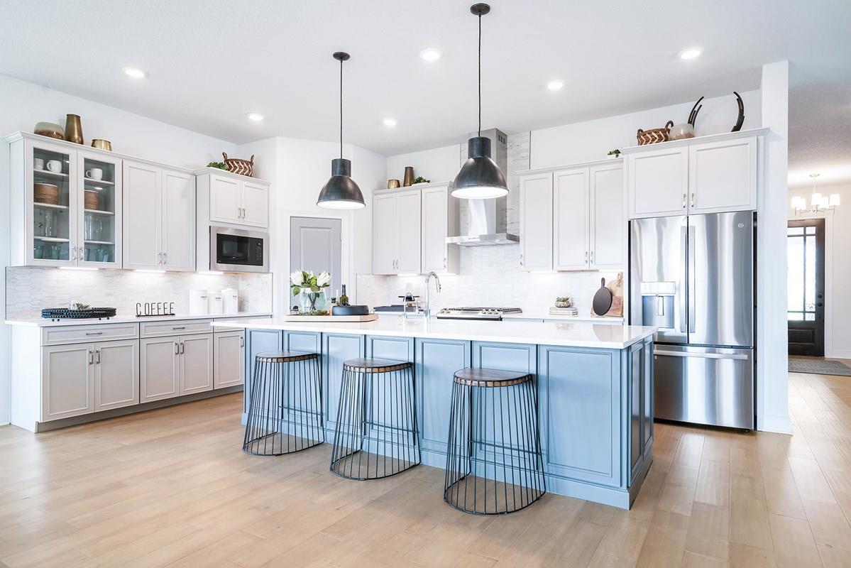 1123 Rusty Blackhaw Trl, San Marcos, TX 78666