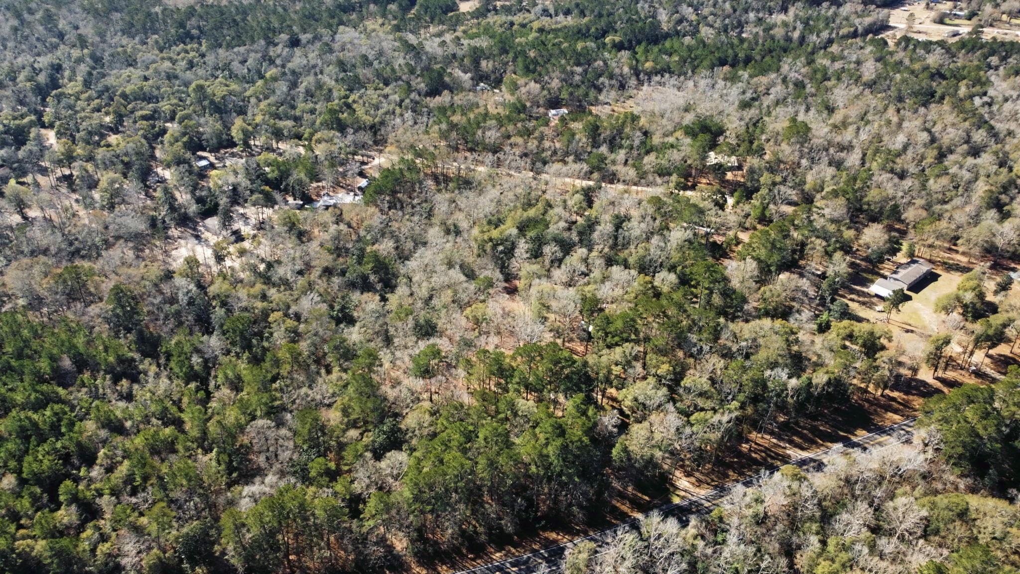 Tract 69 Northcrest Dr, Livingston, TX 77351