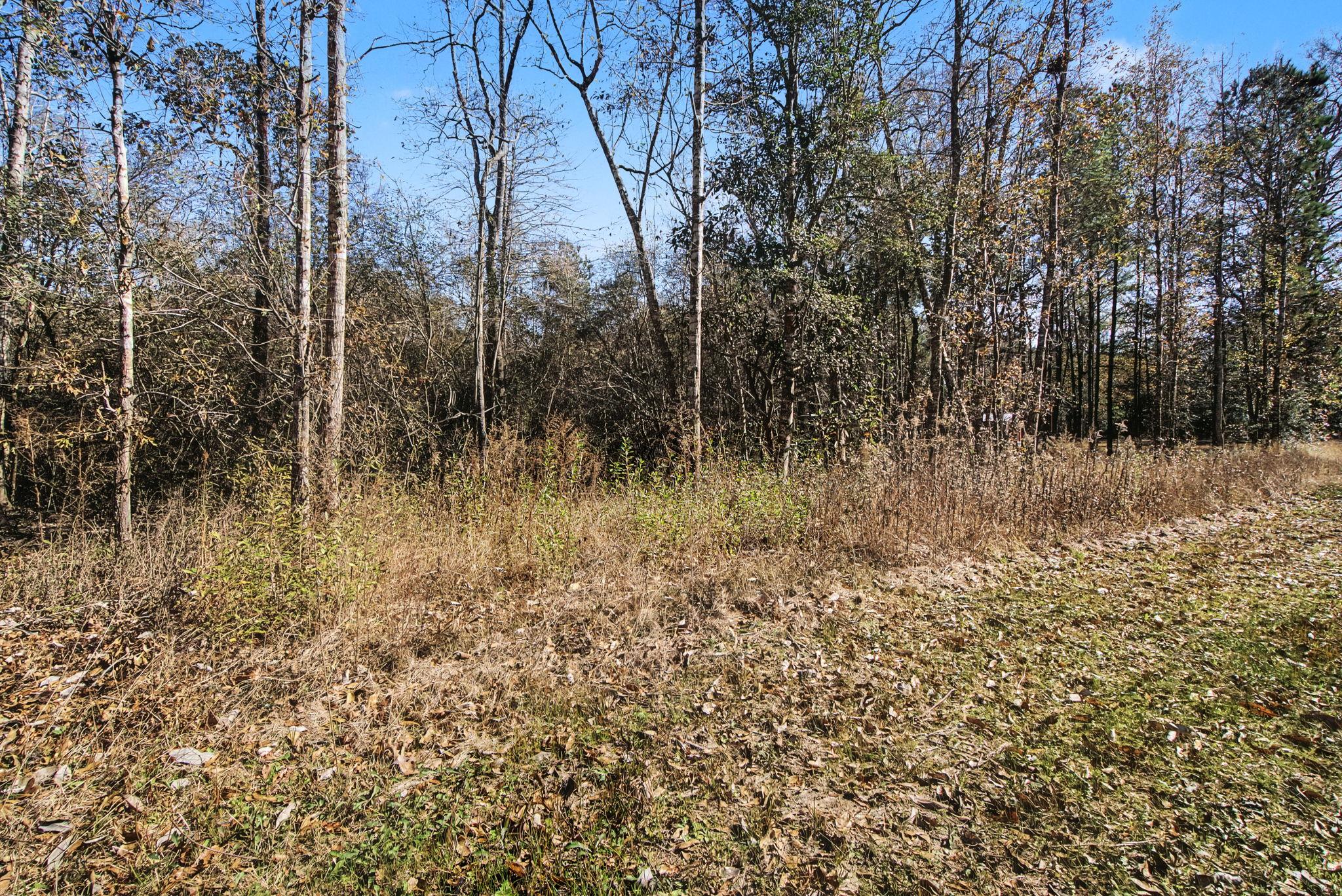 Tract 69 Northcrest Dr, Livingston, TX 77351