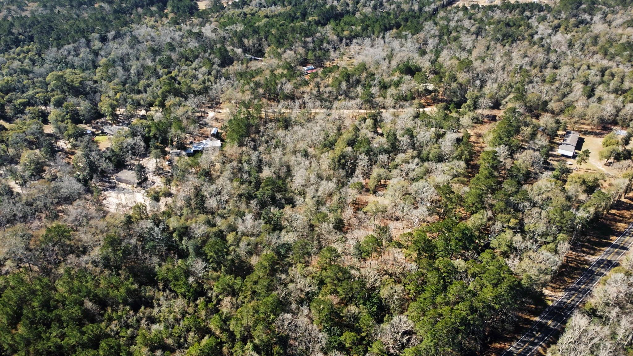 Tract 69 Northcrest Dr, Livingston, TX 77351