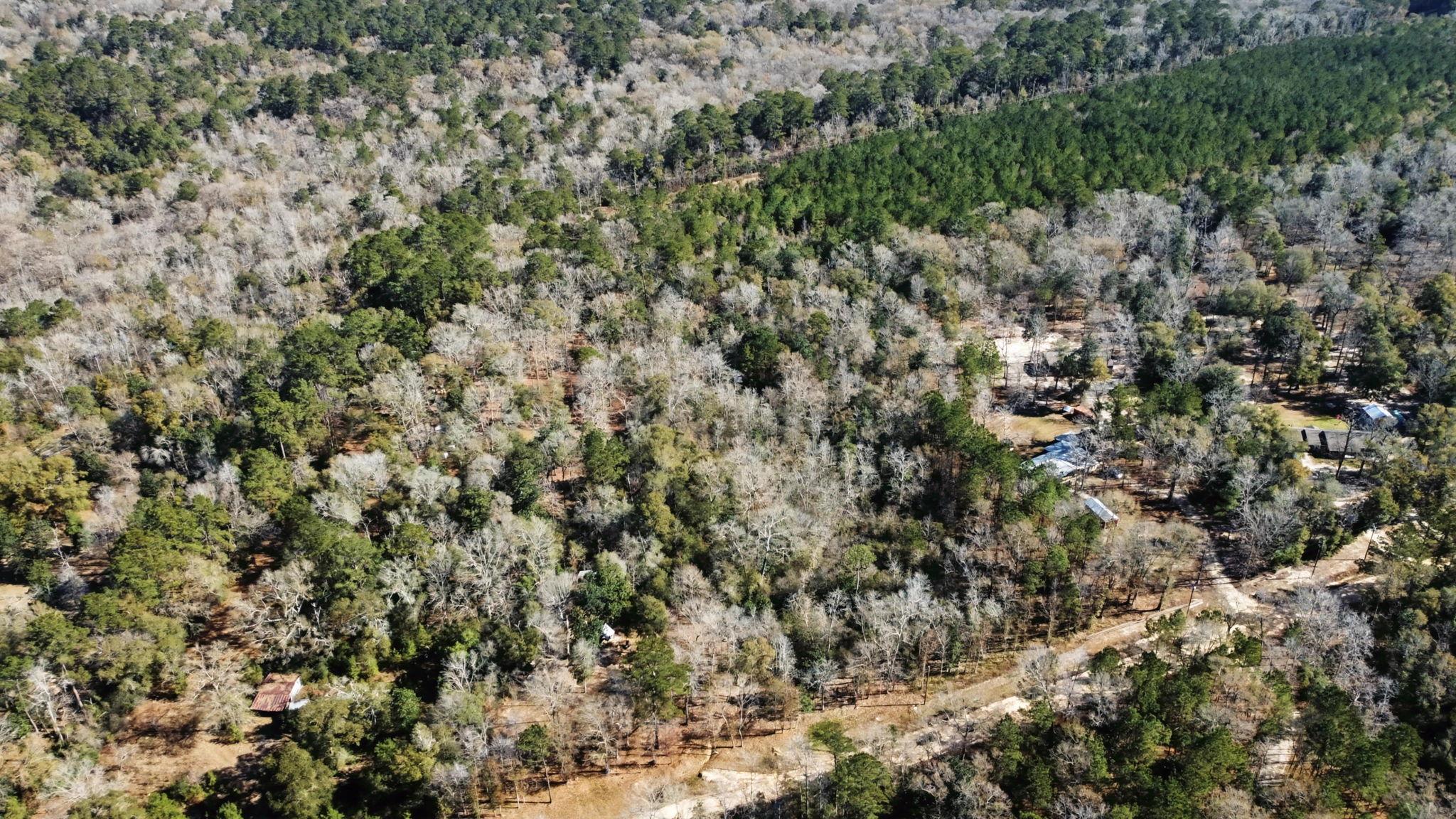 Tract 69 Northcrest Dr, Livingston, TX 77351