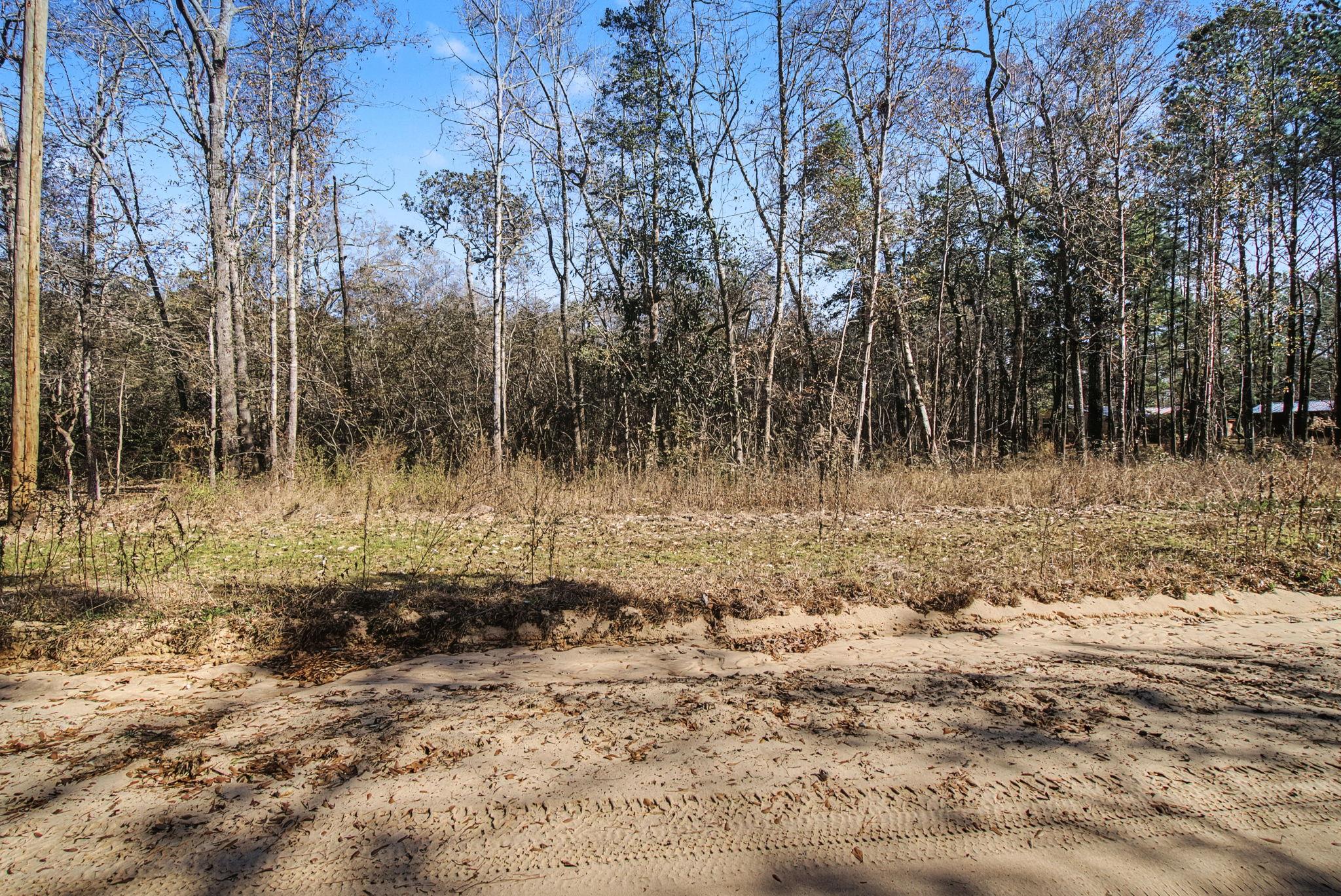 Tract 69 Northcrest Dr, Livingston, TX 77351