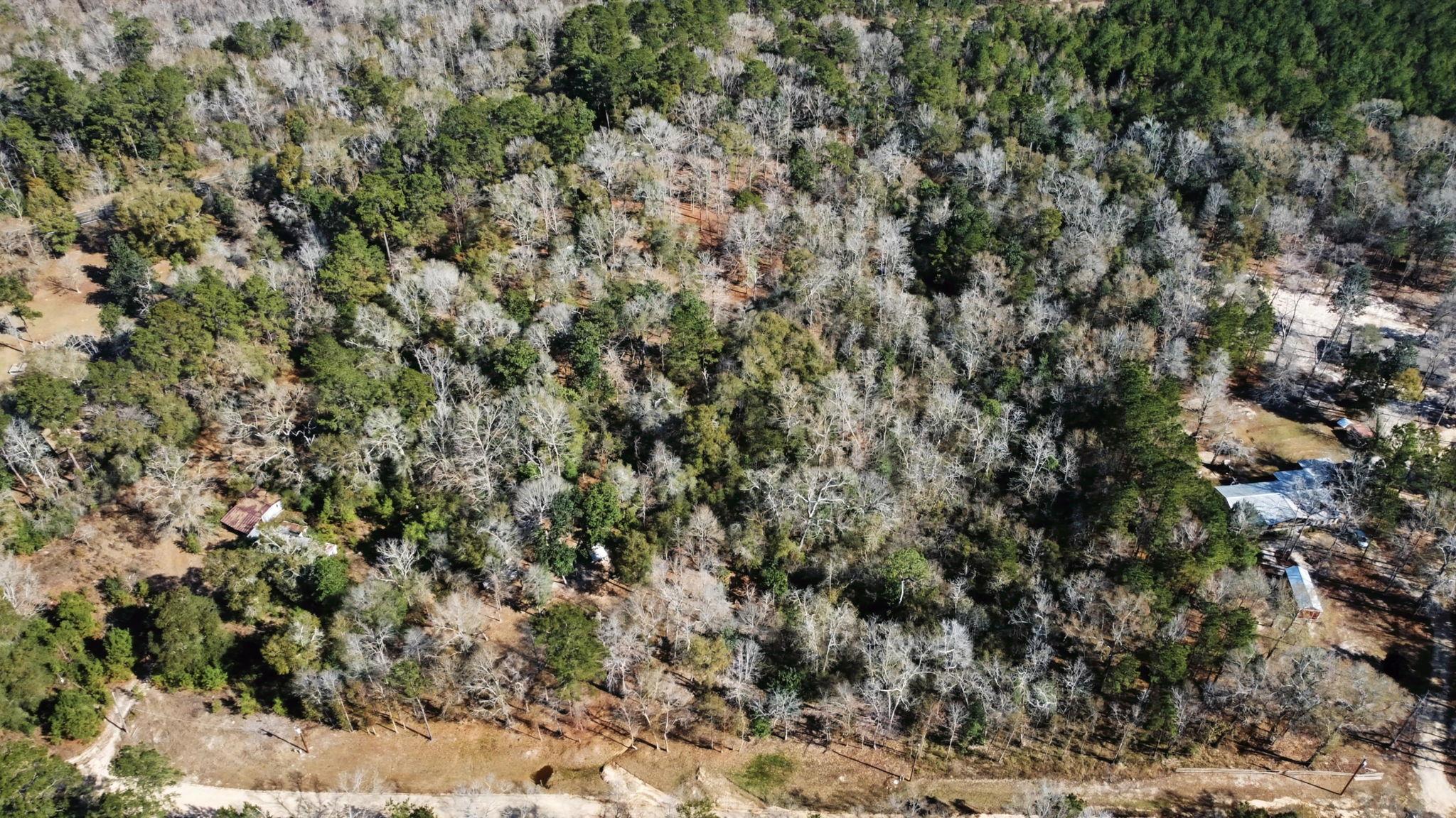 Tract 69 Northcrest Dr, Livingston, TX 77351