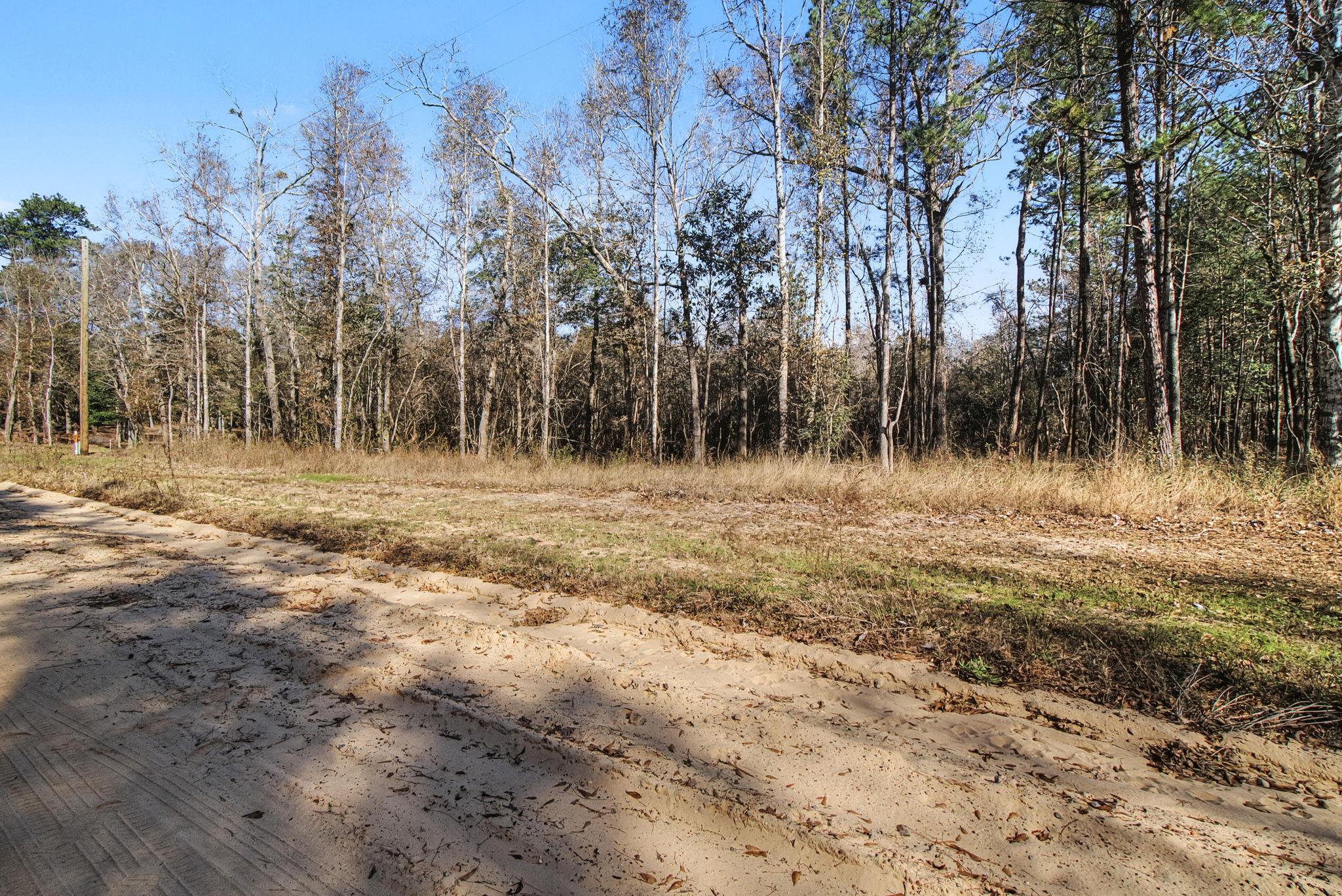 Tract 69 Northcrest Dr, Livingston, TX 77351