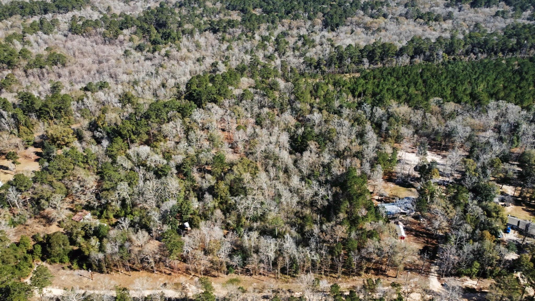 Tract 69 Northcrest Dr, Livingston, TX 77351