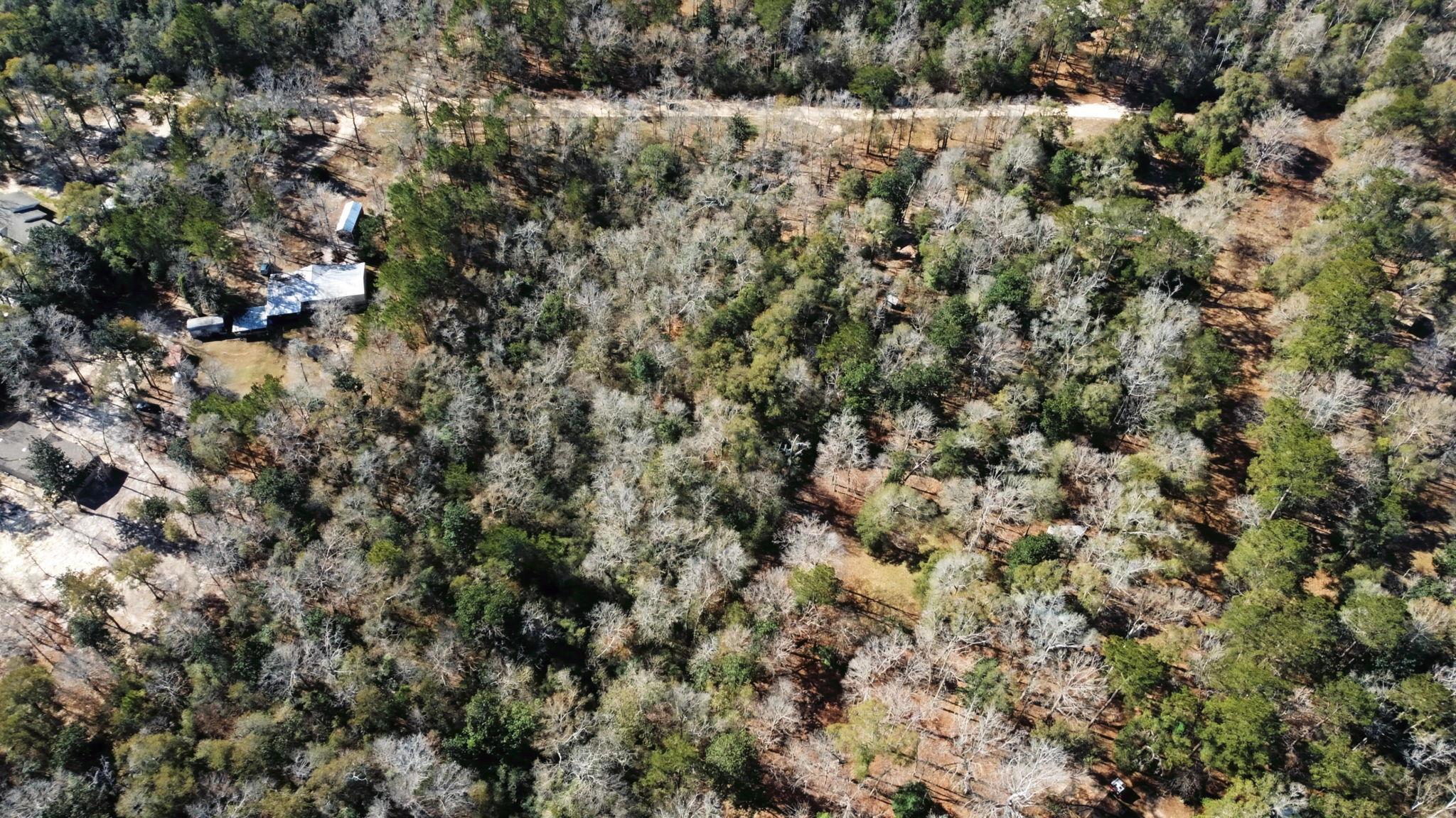 Tract 69 Northcrest Dr, Livingston, TX 77351