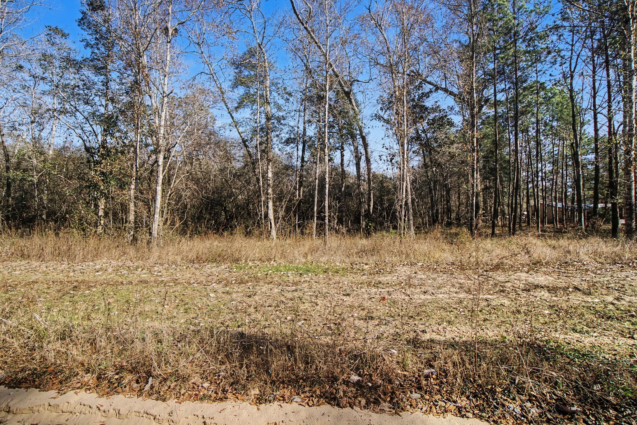 Tract 69 Northcrest Dr, Livingston, TX 77351