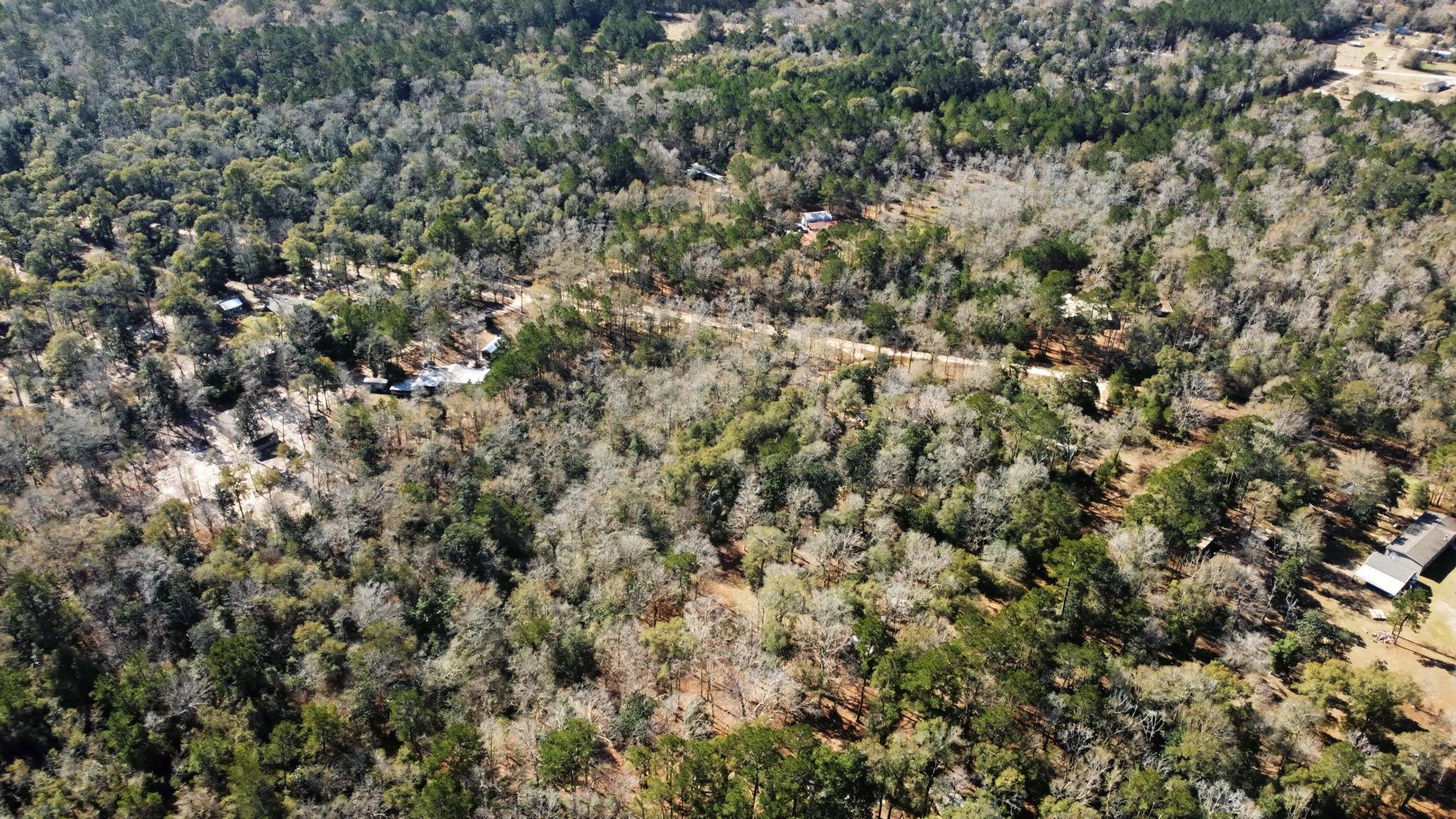 Tract 69 Northcrest Dr, Livingston, TX 77351