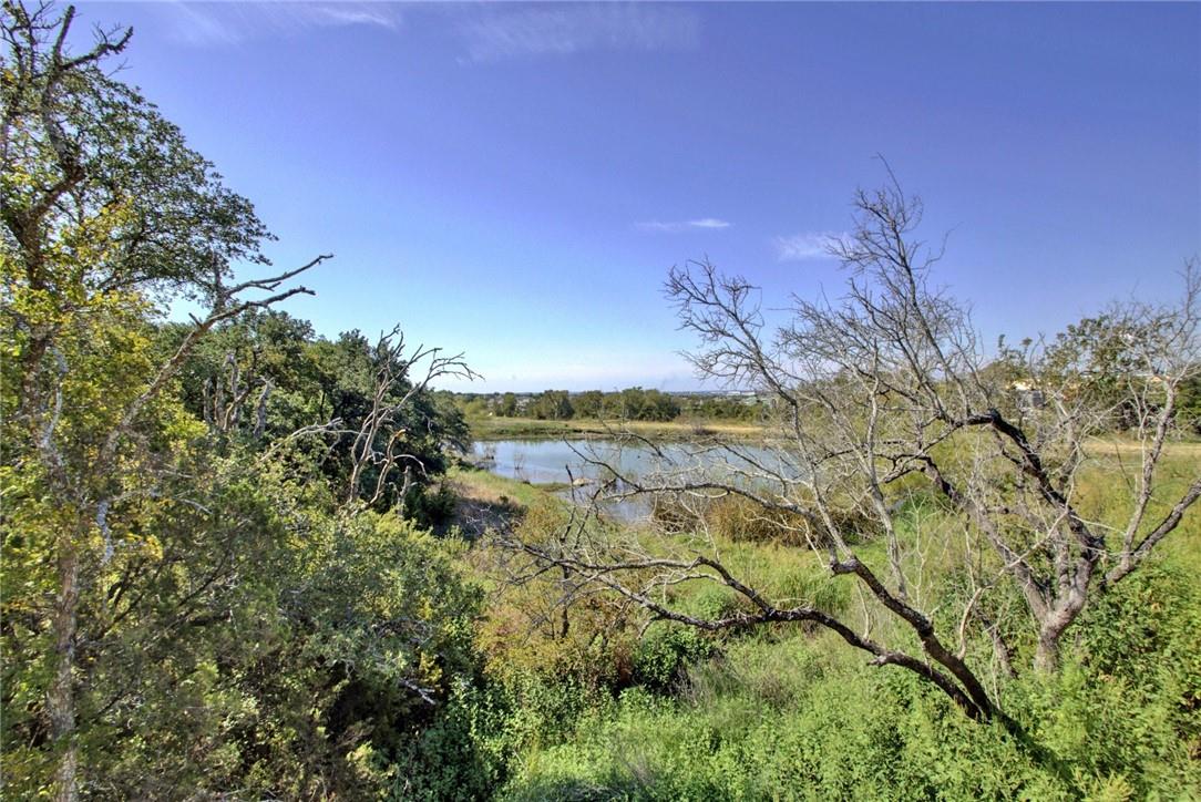 113 Meadow Wood Cv, Georgetown, TX 78626