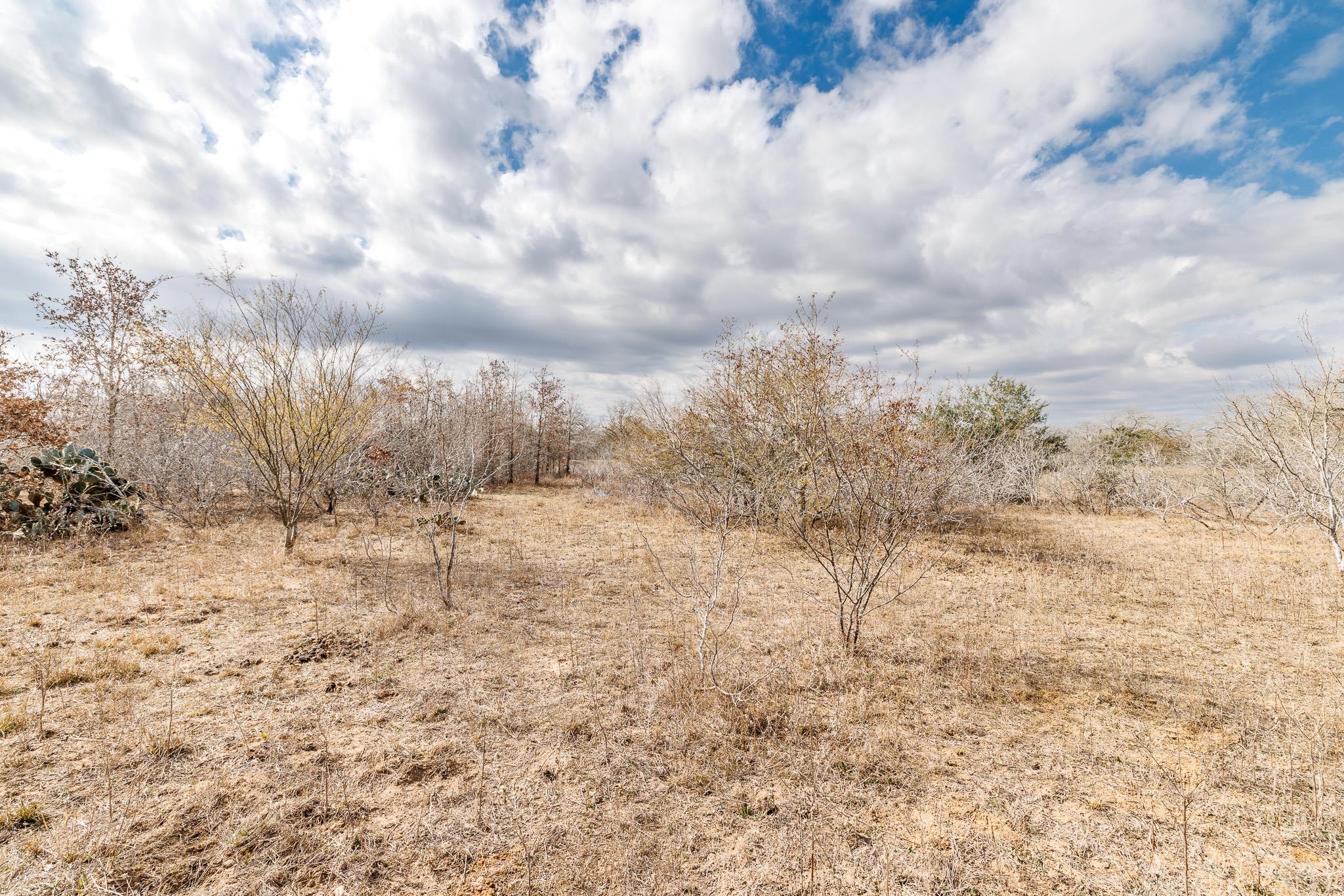TBD County Road 424, Waelder, TX 78959