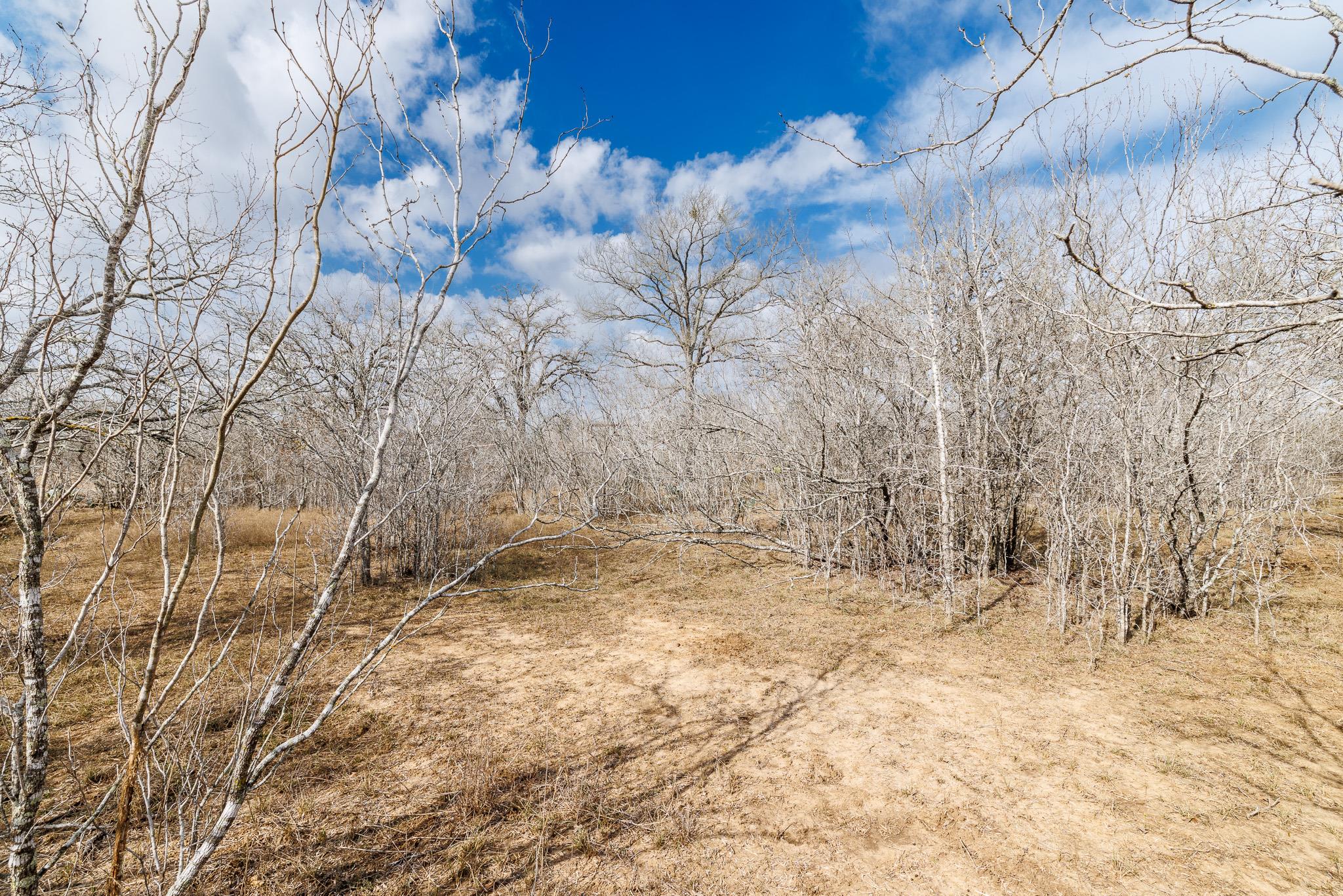 TBD County Road 424, Waelder, TX 78959