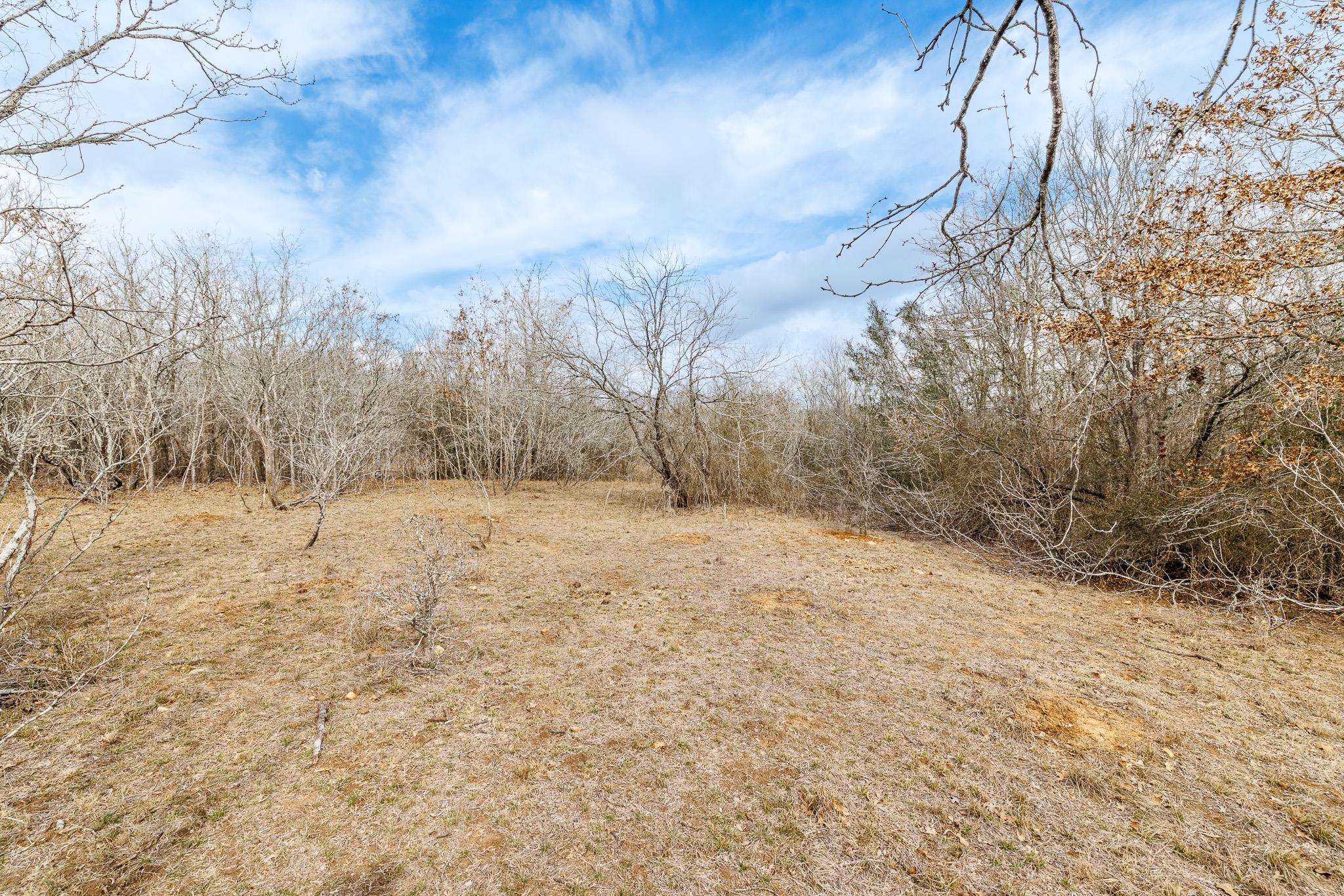 TBD County Road 424, Waelder, TX 78959