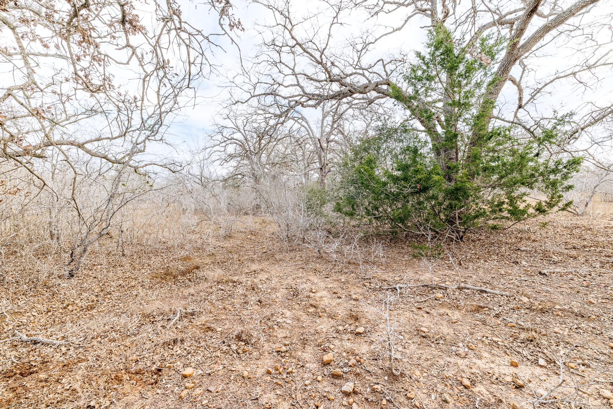 TBD County Road 424, Waelder, TX 78959