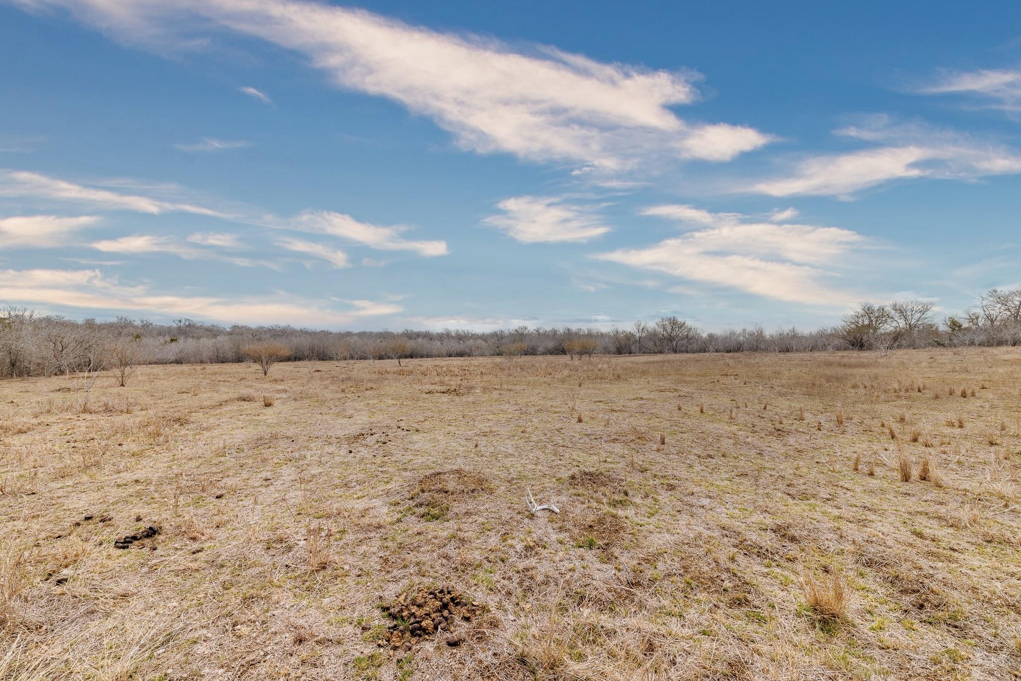 TBD County Road 424, Waelder, TX 78959