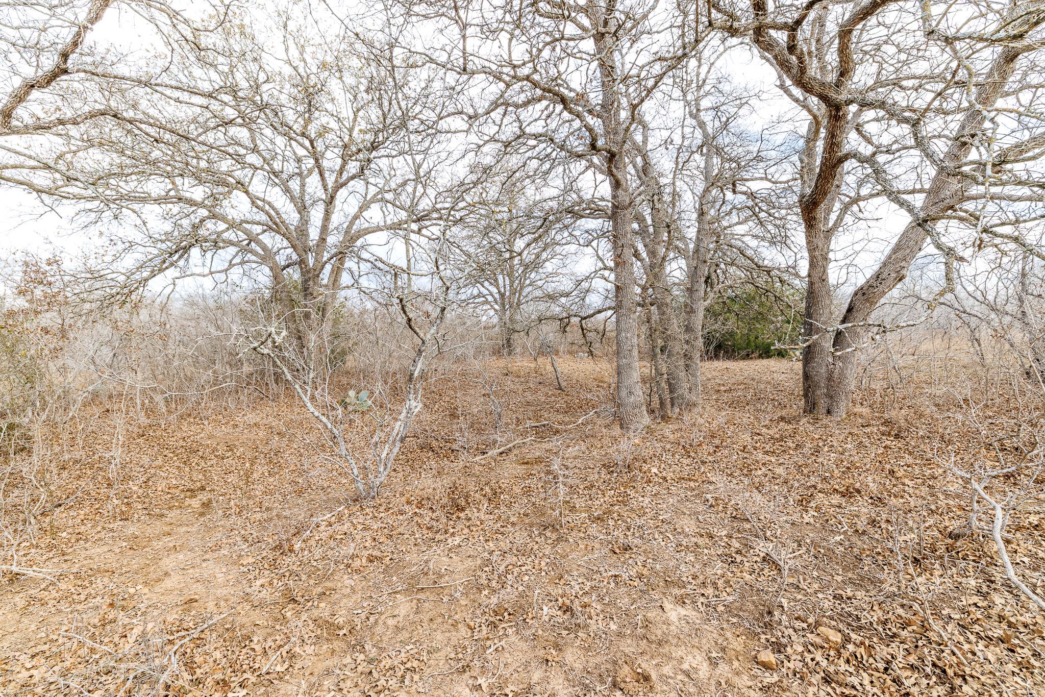 TBD County Road 424, Waelder, TX 78959