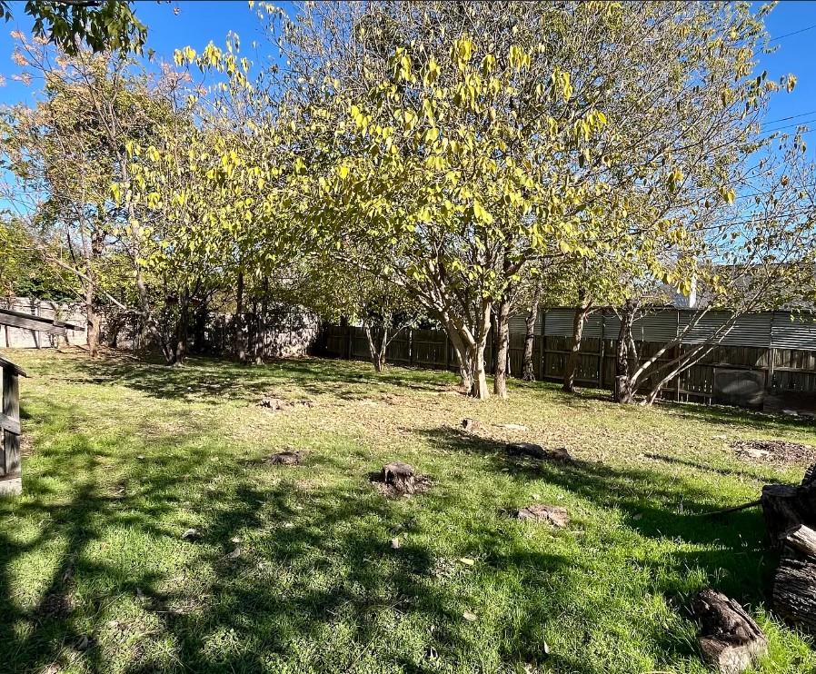 1103 Lipan Trl, Austin, TX 78733