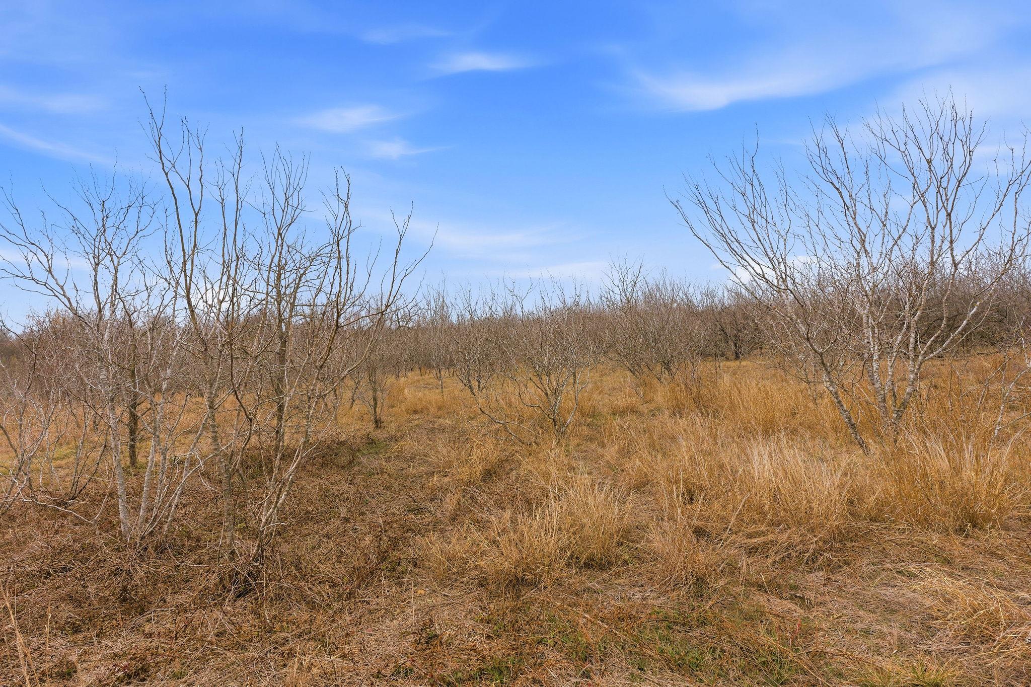 13802 Hokanson Rd, Del Valle, TX 78617