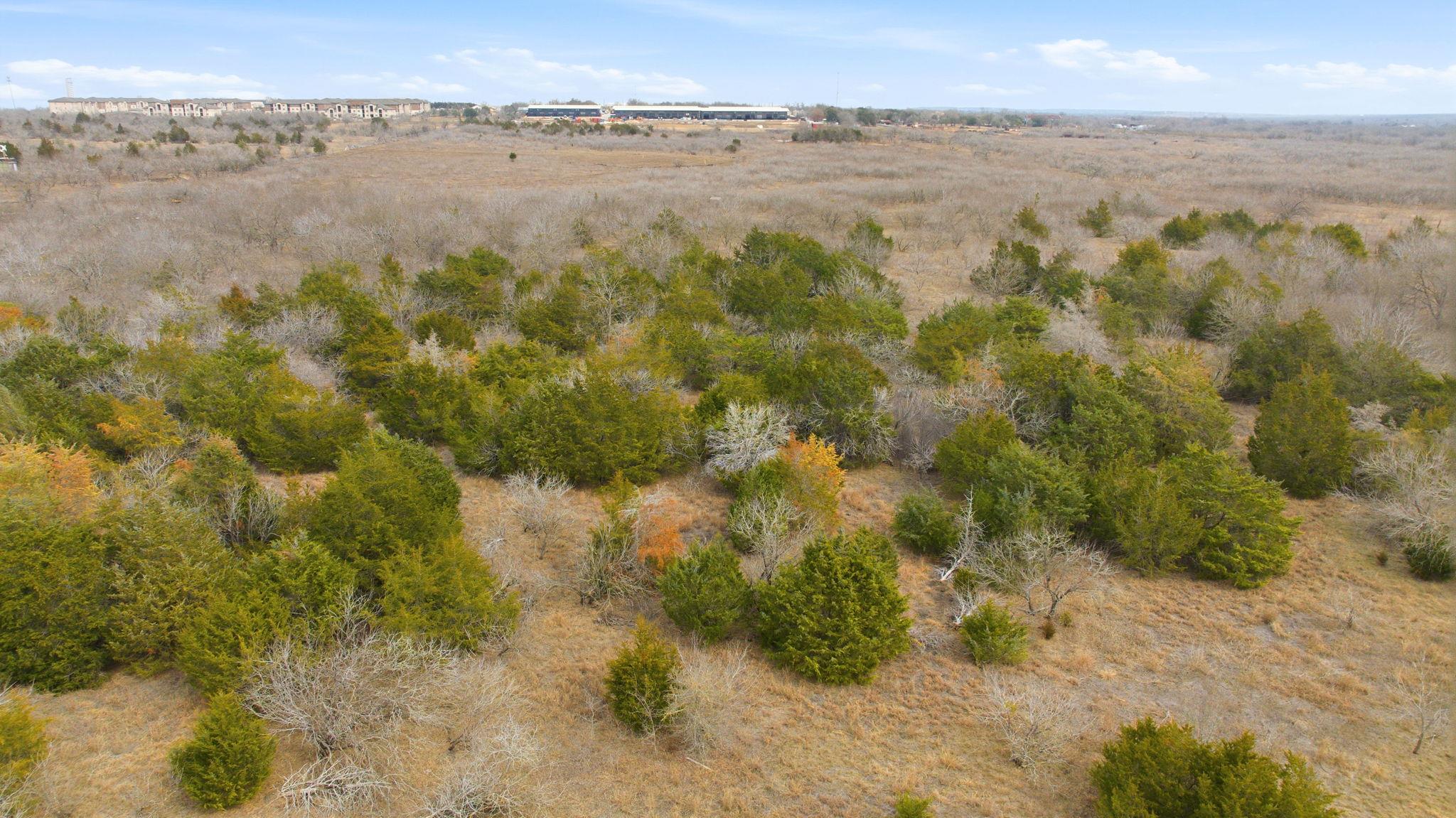 13802 Hokanson Rd, Del Valle, TX 78617