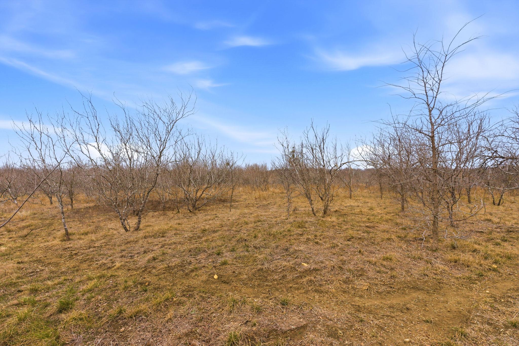 13802 Hokanson Rd, Del Valle, TX 78617