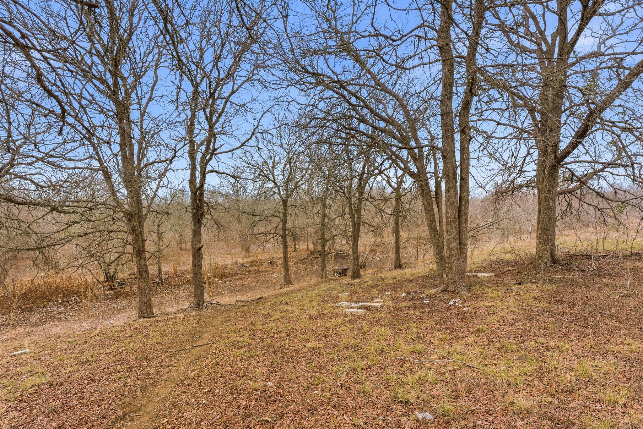 13802 Hokanson Rd, Del Valle, TX 78617