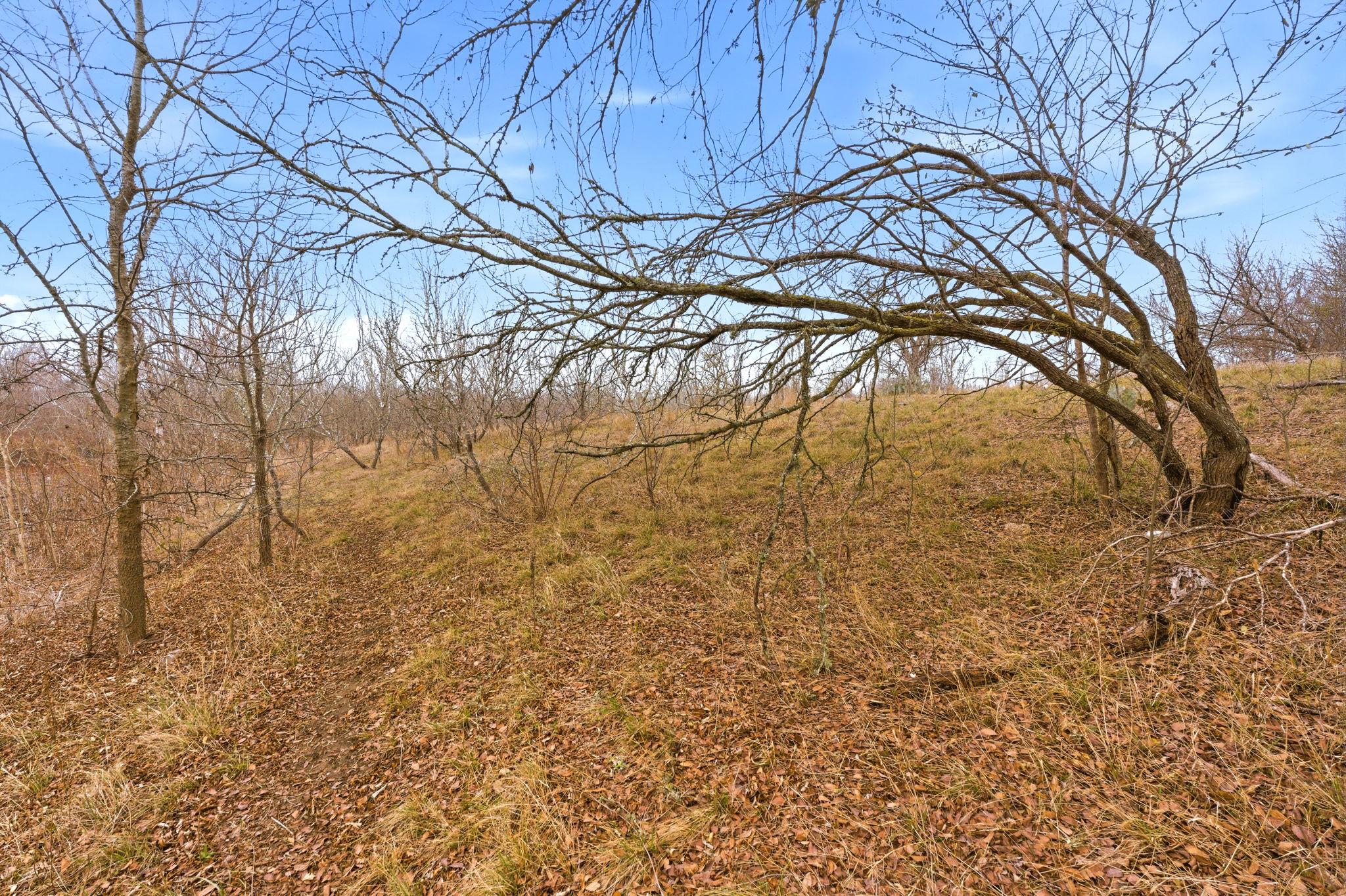 13802 Hokanson Rd, Del Valle, TX 78617