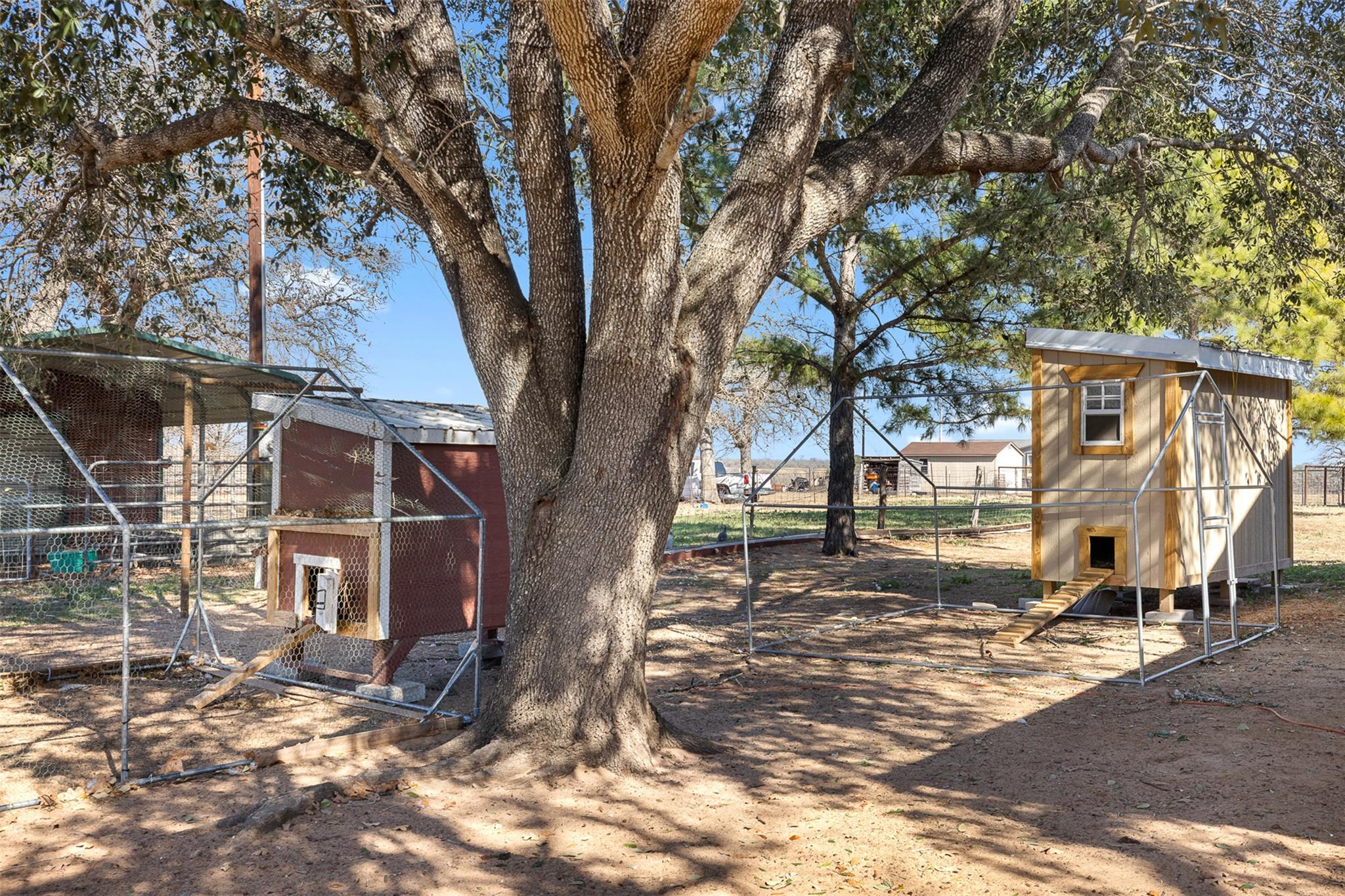 7393 N State Highway 80, Nixon, TX 78140