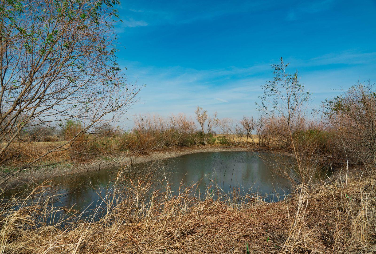 18402 Manda Carlson Rd, Coupland, TX 78615