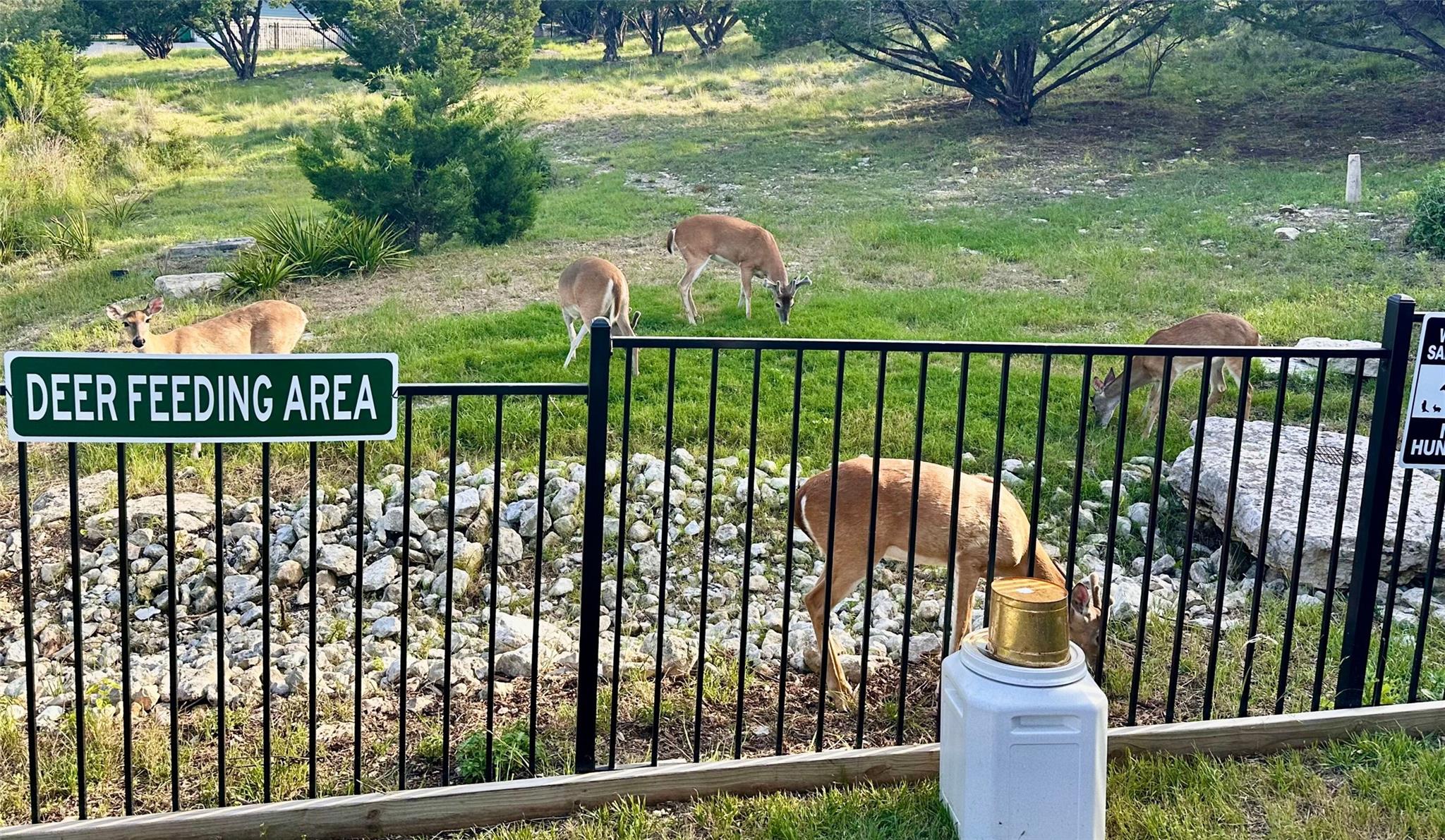 20501 Houston Cv, Lago Vista, TX 78645