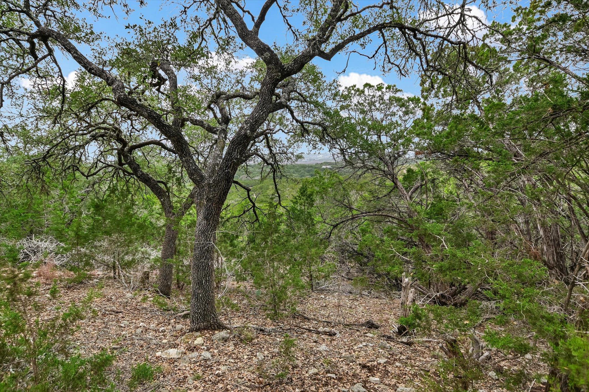 816 BUTTERCUP Ln, Wimberley, TX 78676