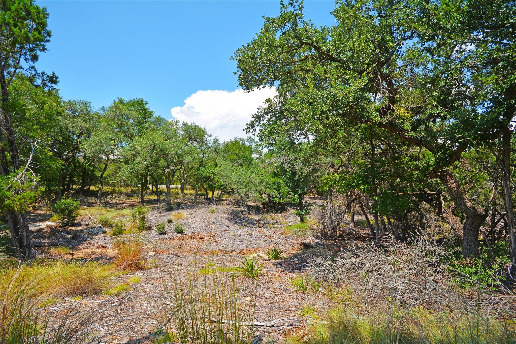 16 W EL CAMINO REAL Dr, Wimberley, TX 78676