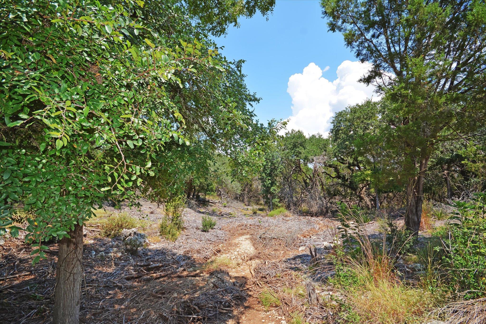 16 W EL CAMINO REAL Dr, Wimberley, TX 78676