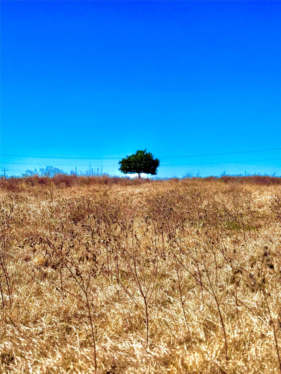 261 Engelke Rd, Kingsbury, TX 78638