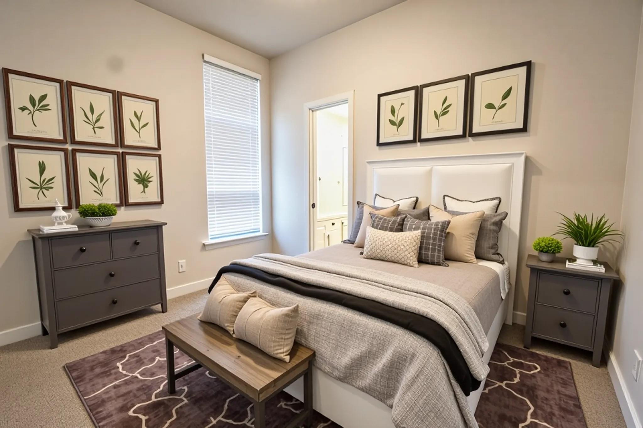 117 Missouri Primrose Ln, San Marcos, TX 78666